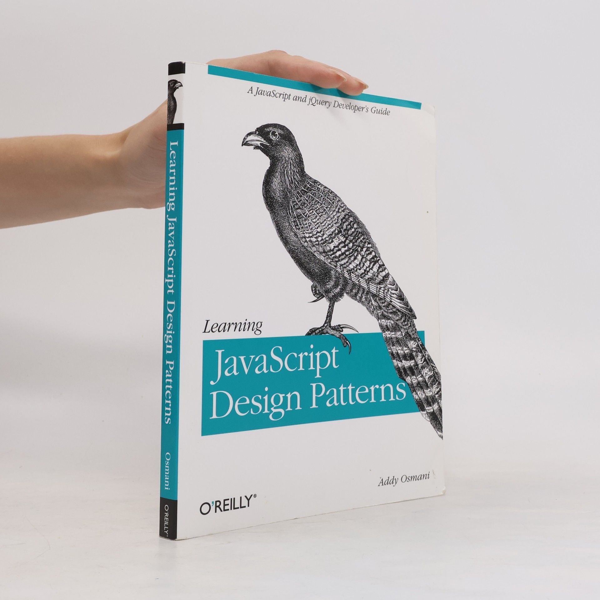 Addy Osmani Learning JavaScript Design Patterns
