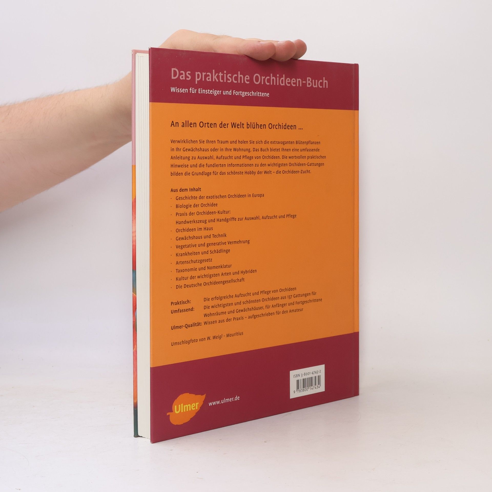 Lutz Röllke Das praktische Orchideen-Buch