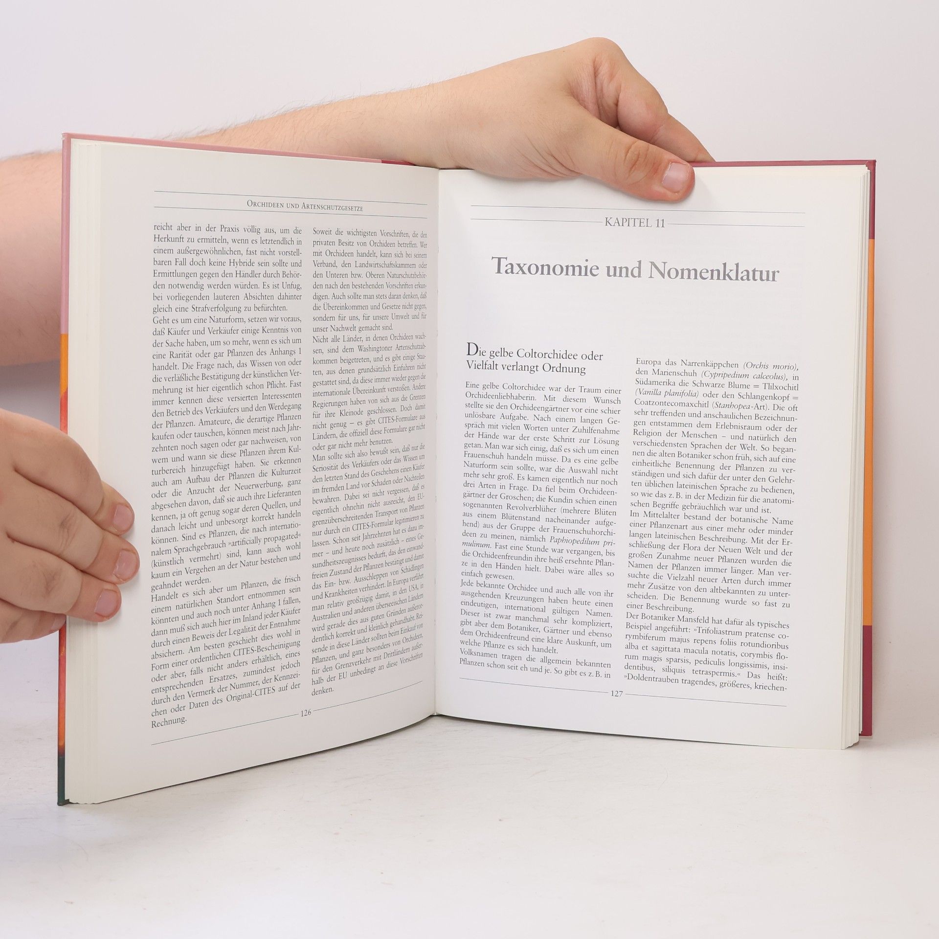 Lutz Röllke Das praktische Orchideen-Buch