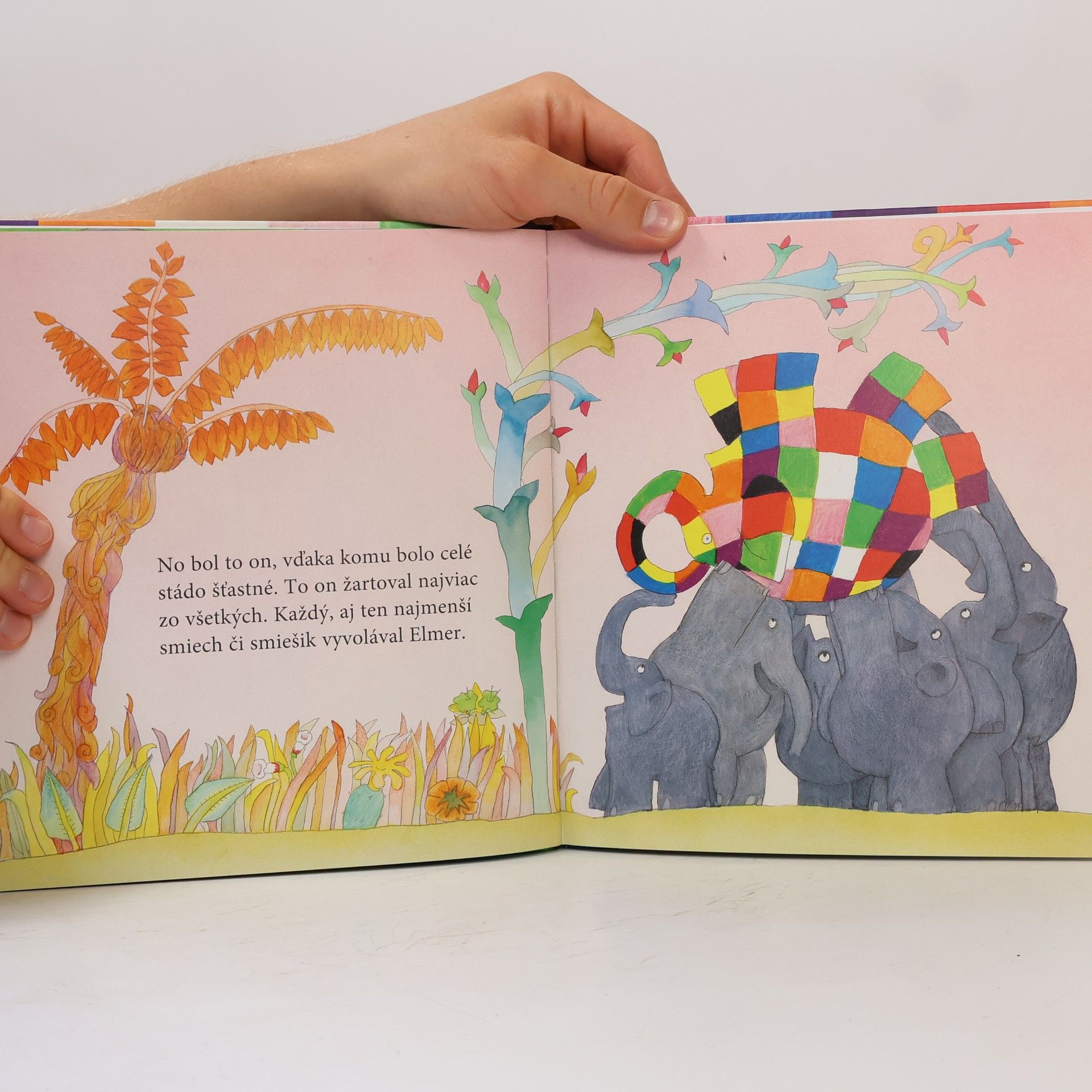 David McKee Elmer