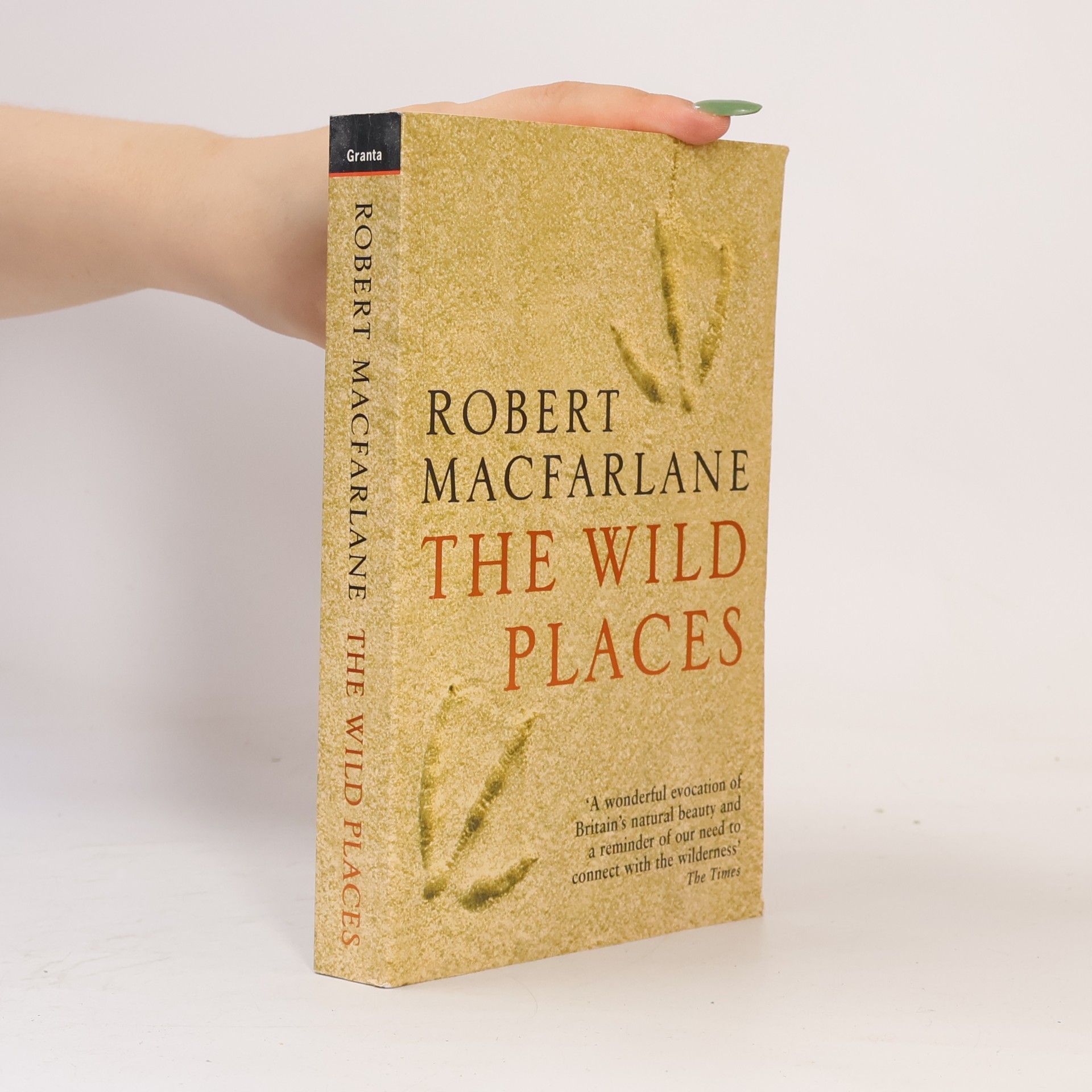 Robert Macfarlane The Wild Places