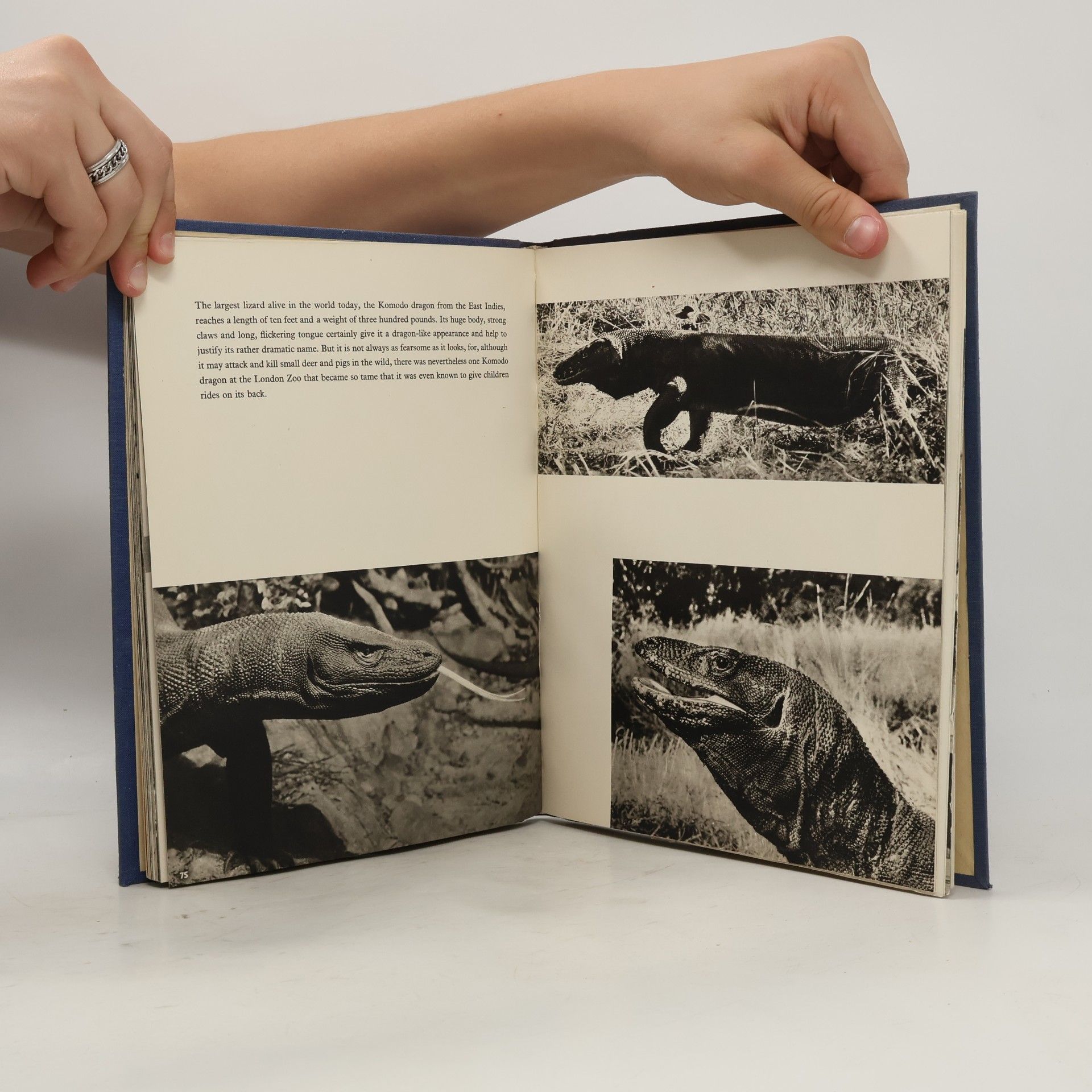 Desmond Morris Introducing Curious Creatures