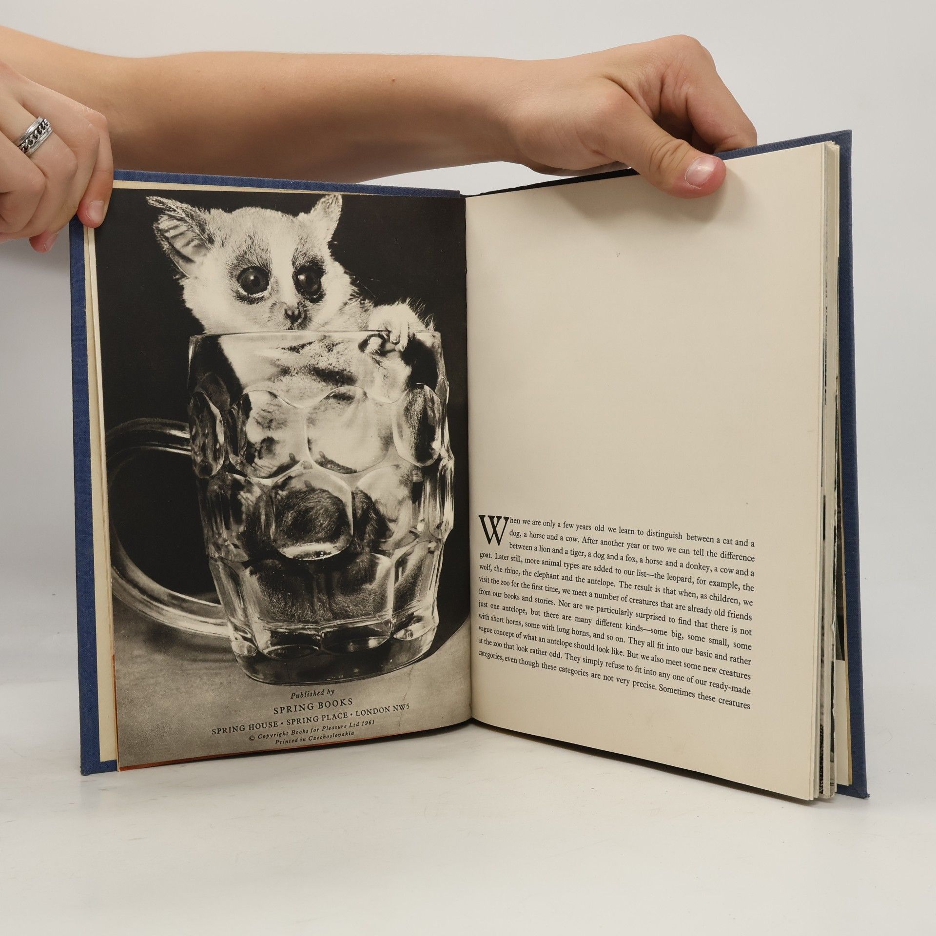 Desmond Morris Introducing Curious Creatures