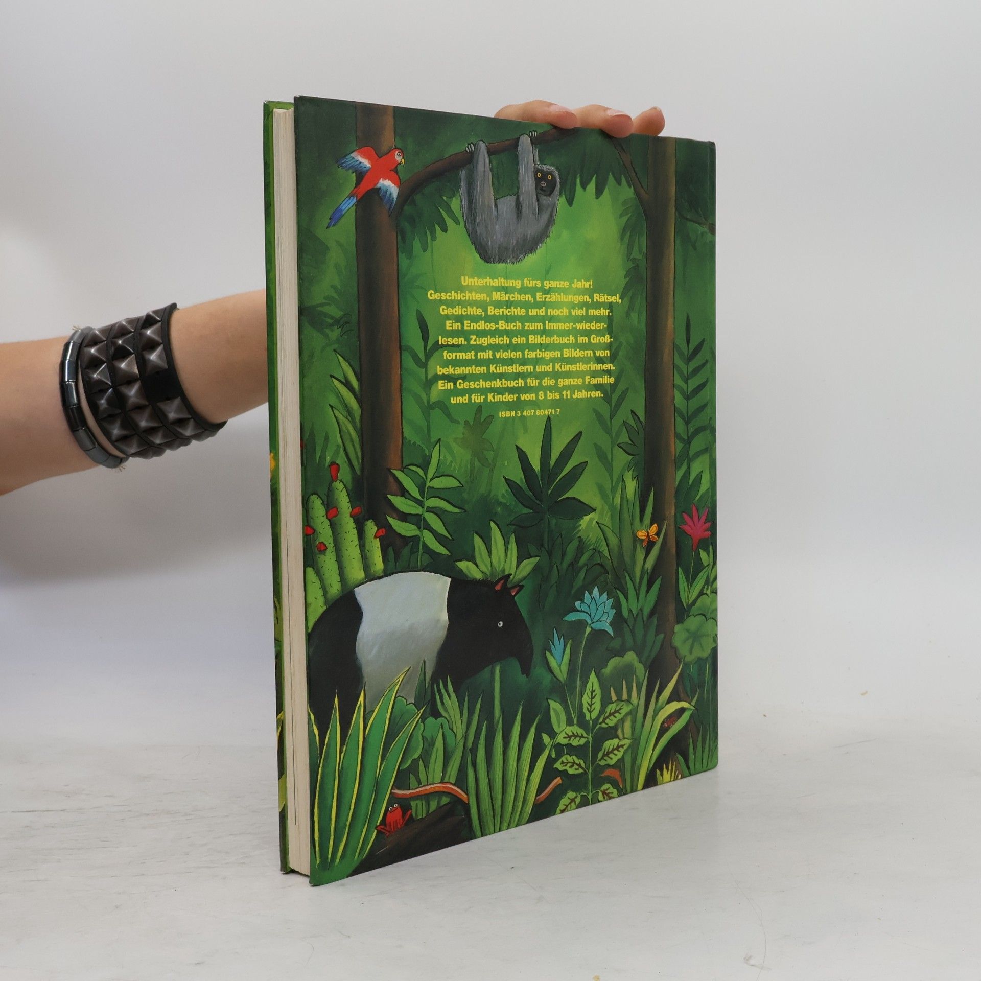 Axel Scheffler Der dicke Hund