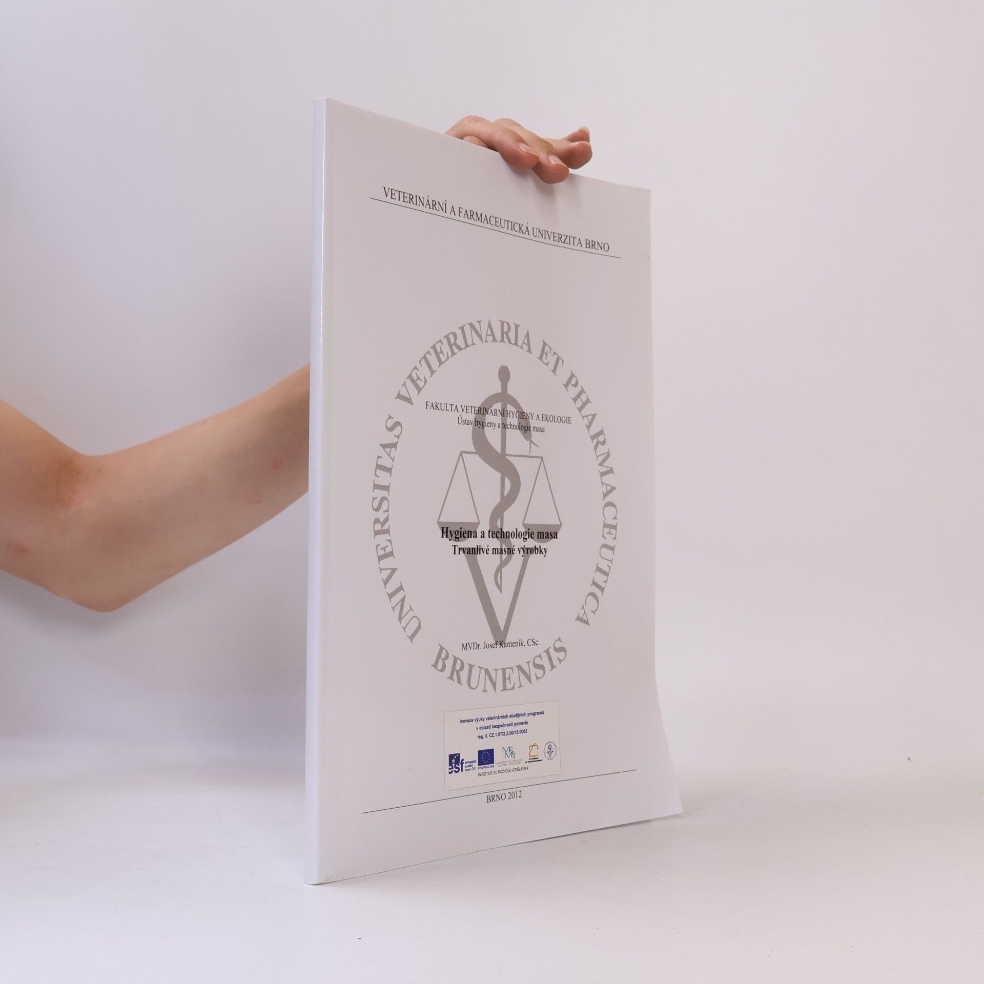 Hygiena a technologie masa