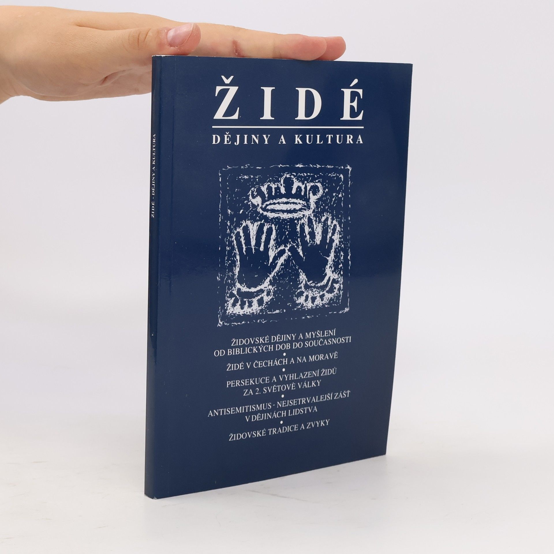 Autorenkollektiv Židé - dějiny a kultura