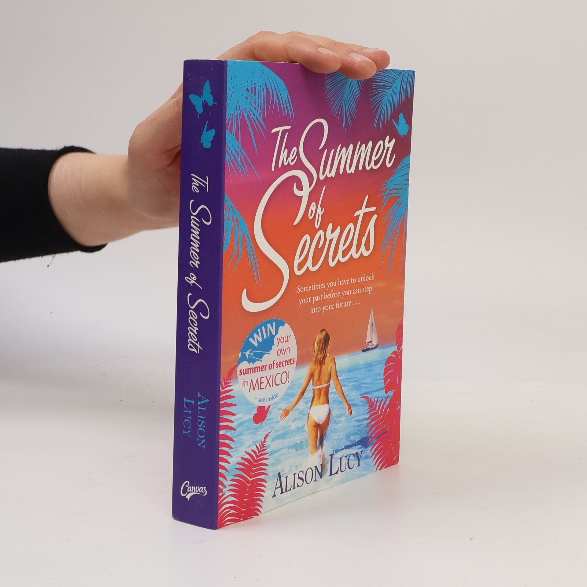 Alison Lucy The Summer of Secrets