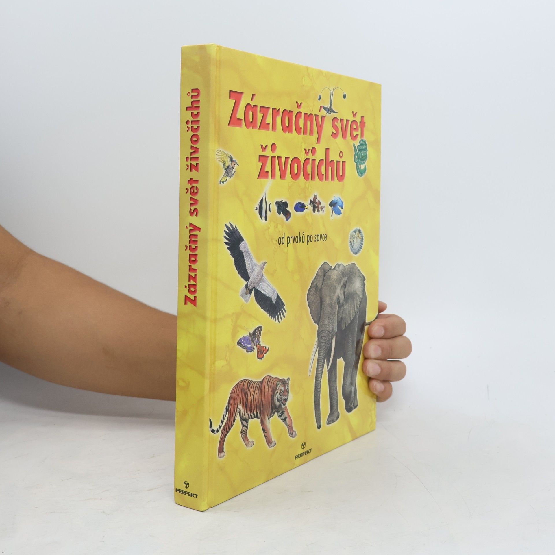 Autorenkollektiv Zázračný svět živočichů