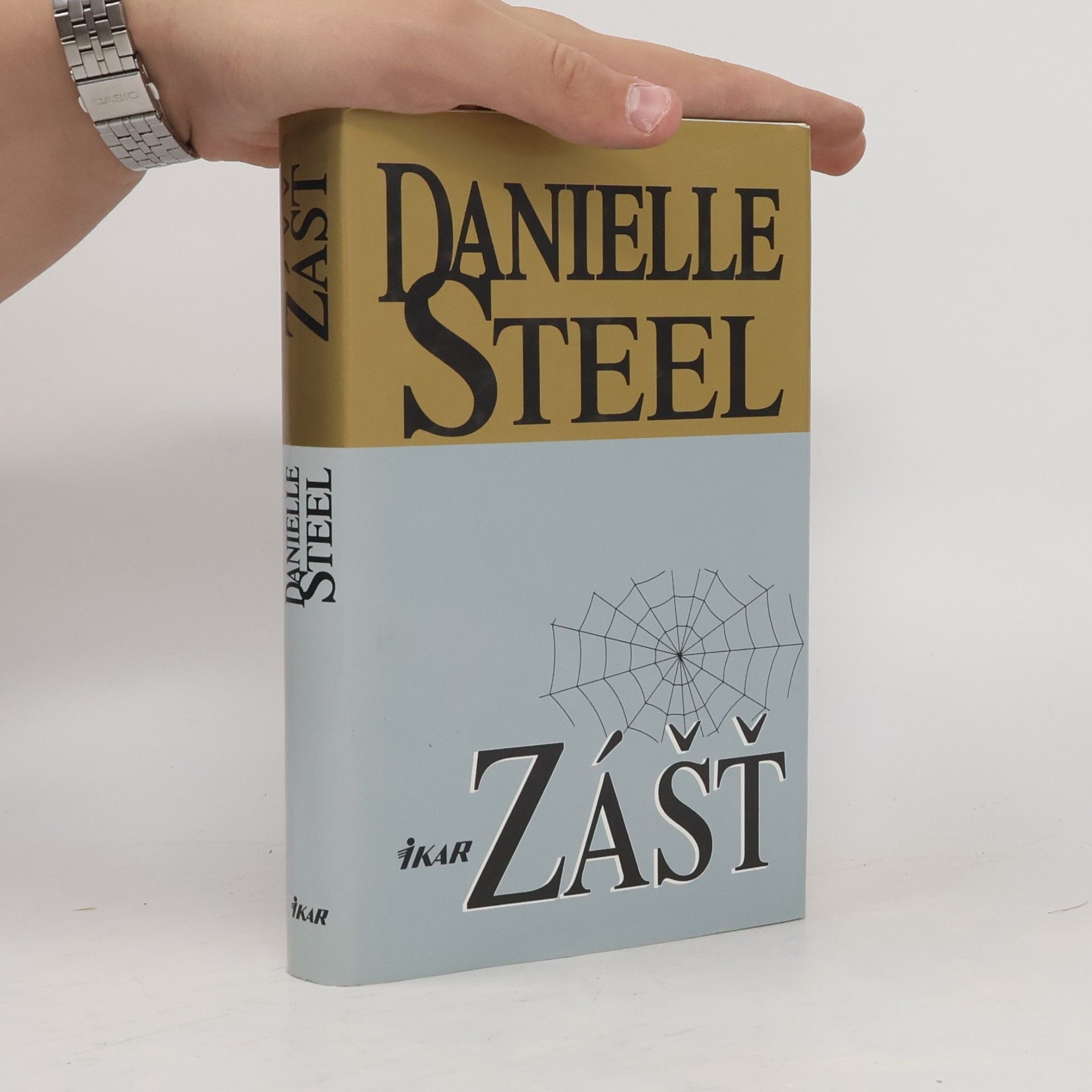 Danielle Steel Zášť