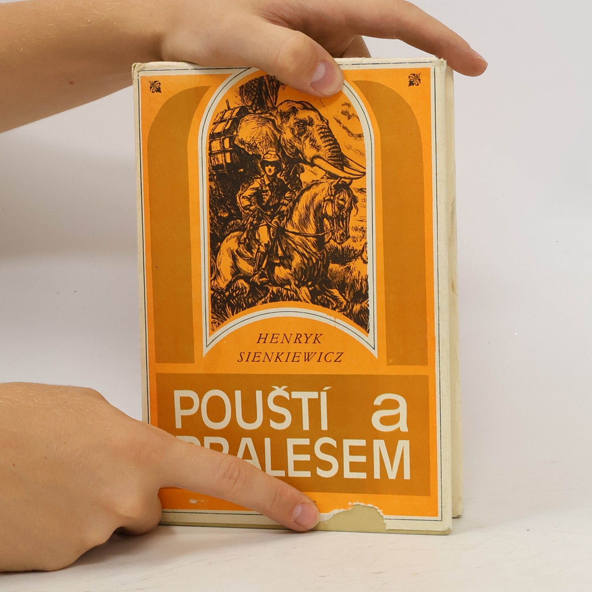 Henryk Sienkiewicz Pouští a pralesem