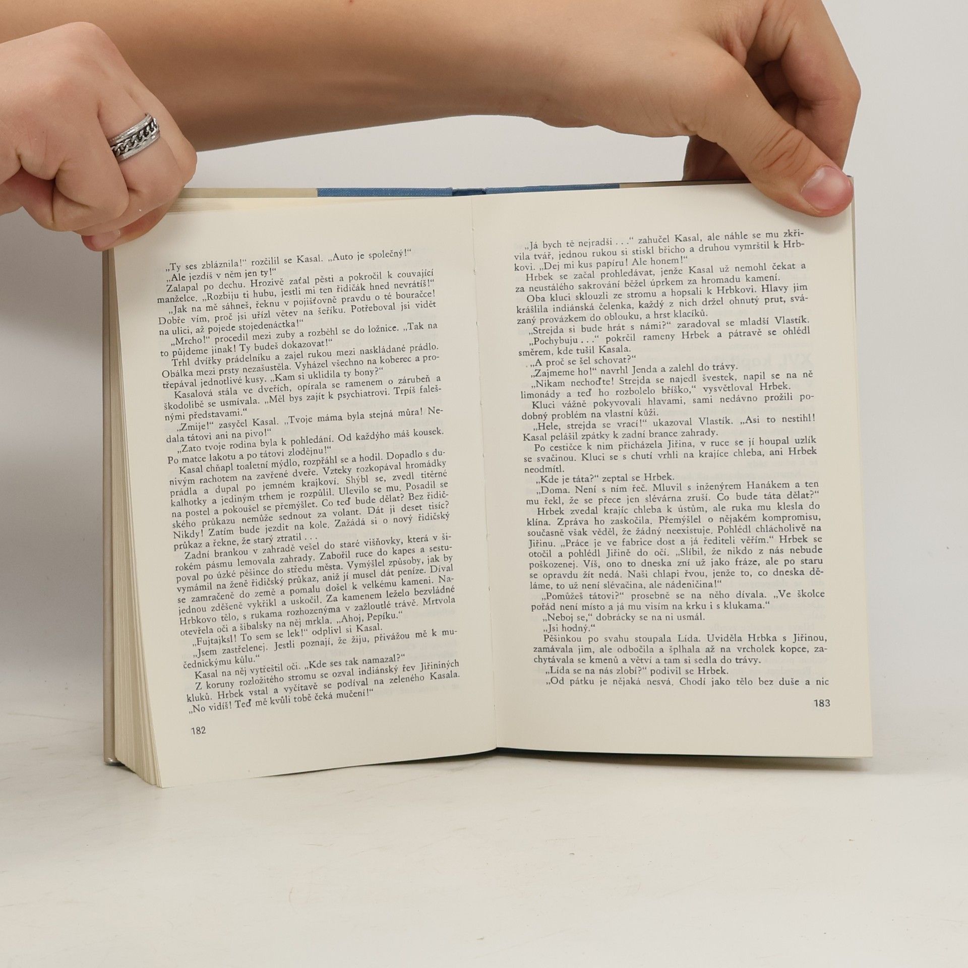 Helena Dvořáková Bouře nad kotlinou