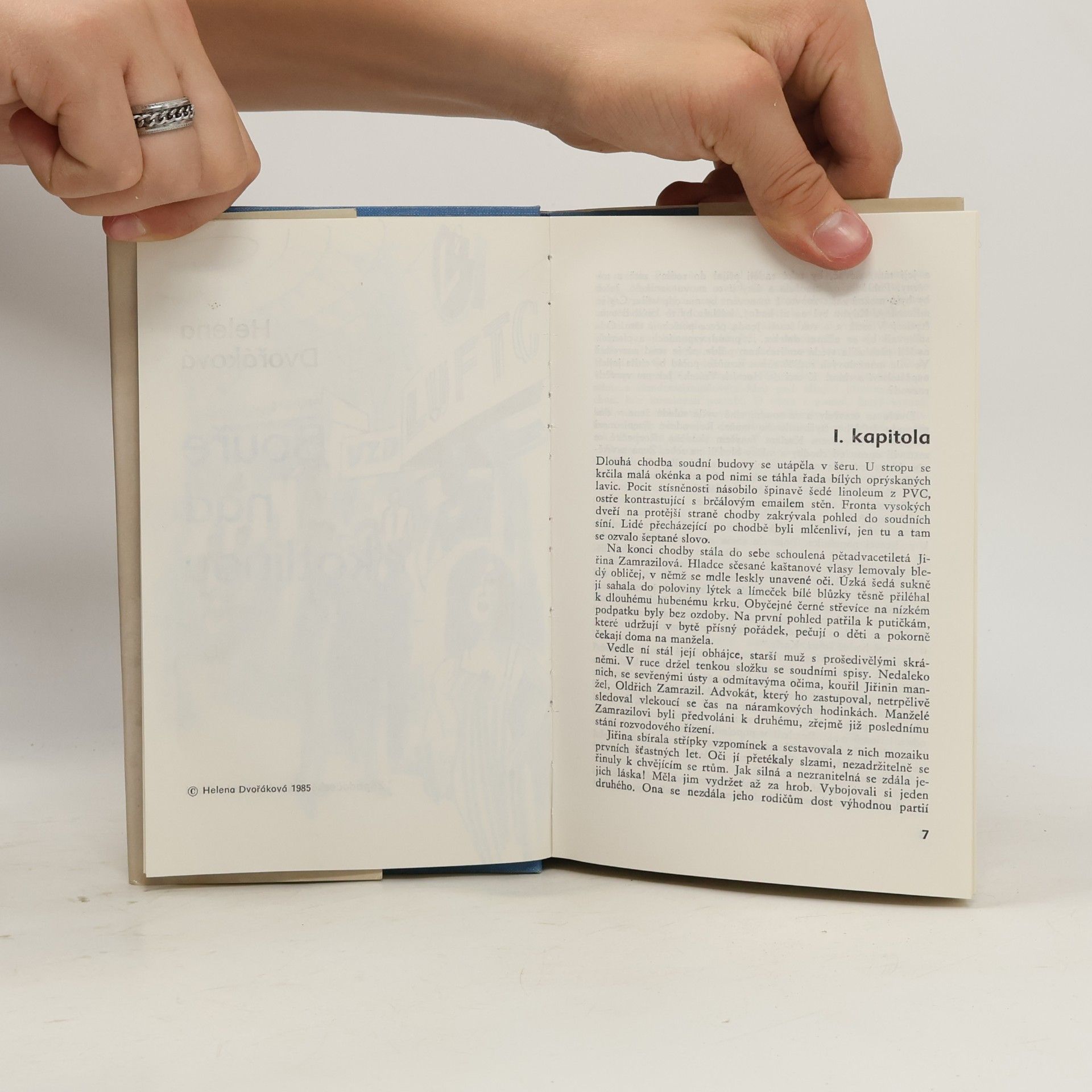 Helena Dvořáková Bouře nad kotlinou