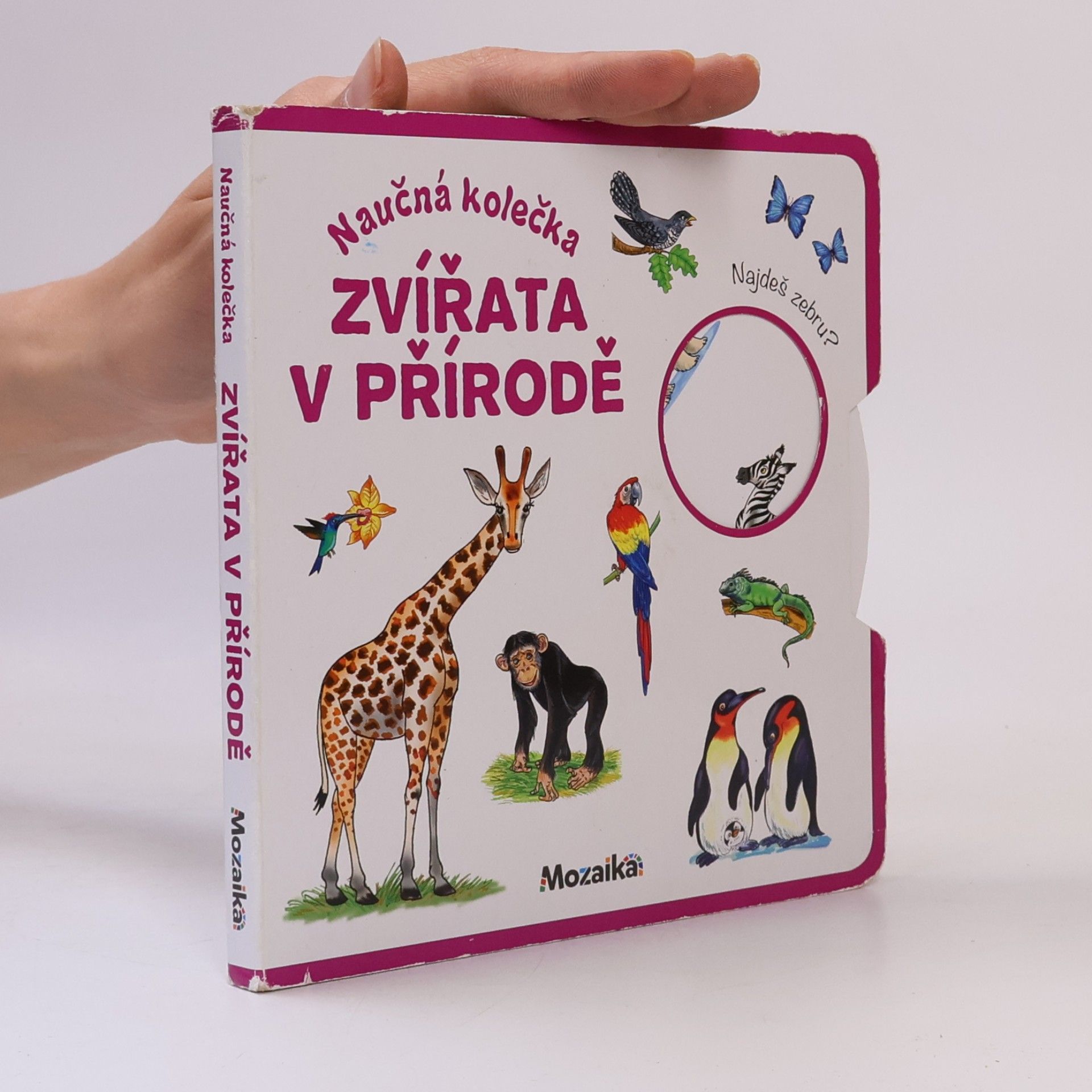 Antonín Šplíchal Naučná kolečka: Zvířata v přírodě