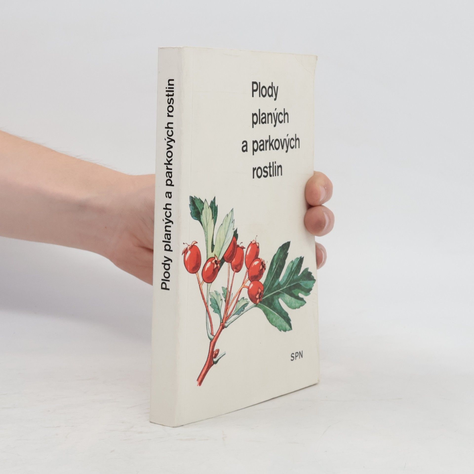 Alois Mikula Plody planých a parkových rostlin. Kapesní atlas