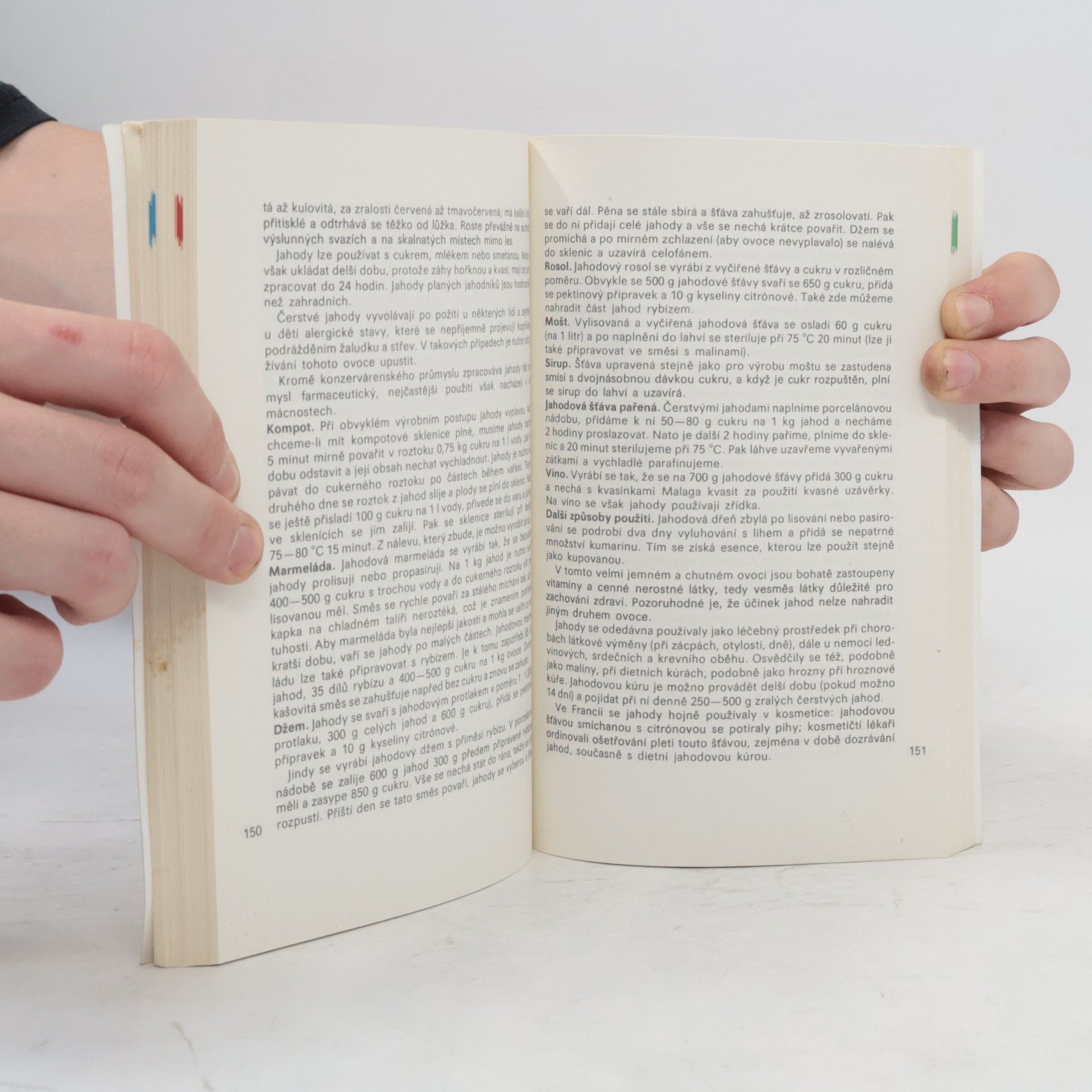 Přemysl Vanke Plody planých a parkových rostlin. Kapesní atlas