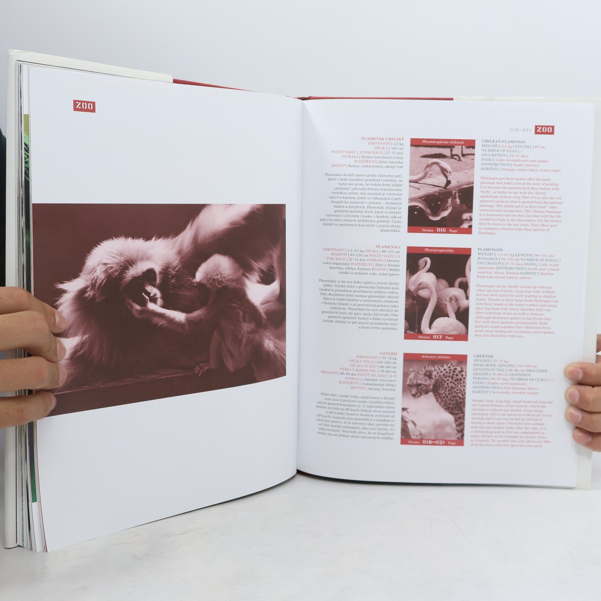 Herbert Slavík ZOO Praha : zvířata z pražské ZOO na fotografiích Herberta Slavíka