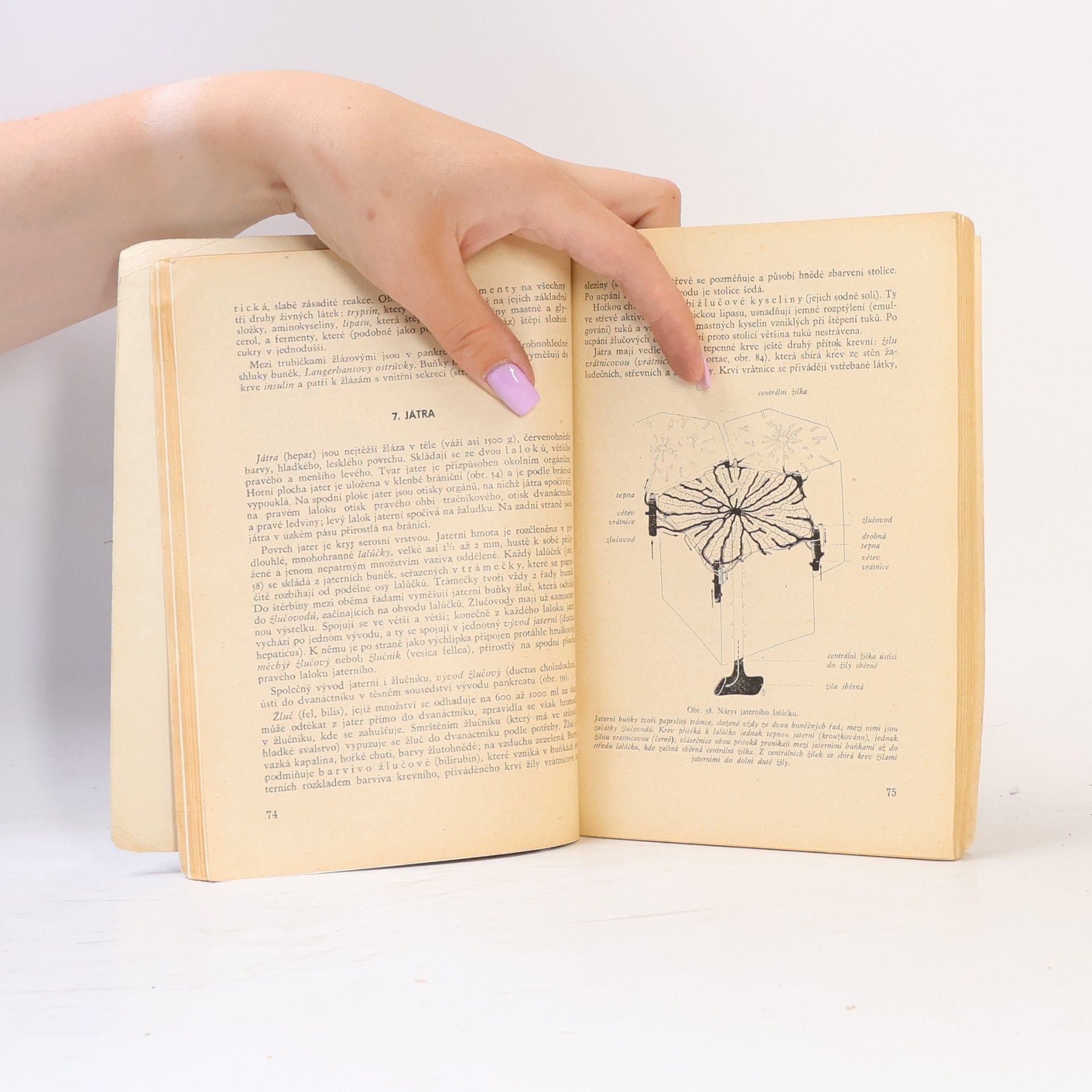 Ladislav Borovanský Anatomie. Učebnice pro zdravotnické školy