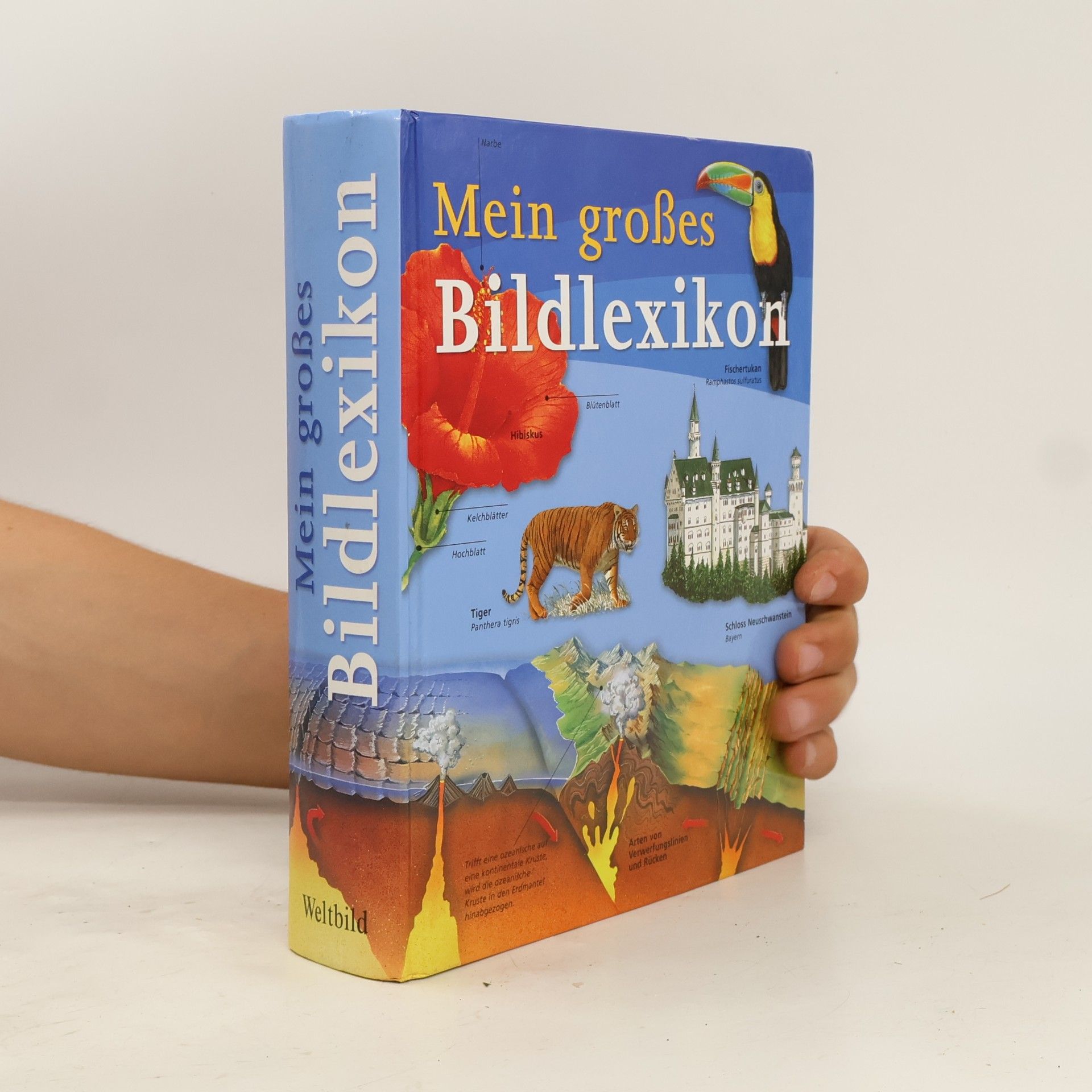 Mein großes Bildlexikon
