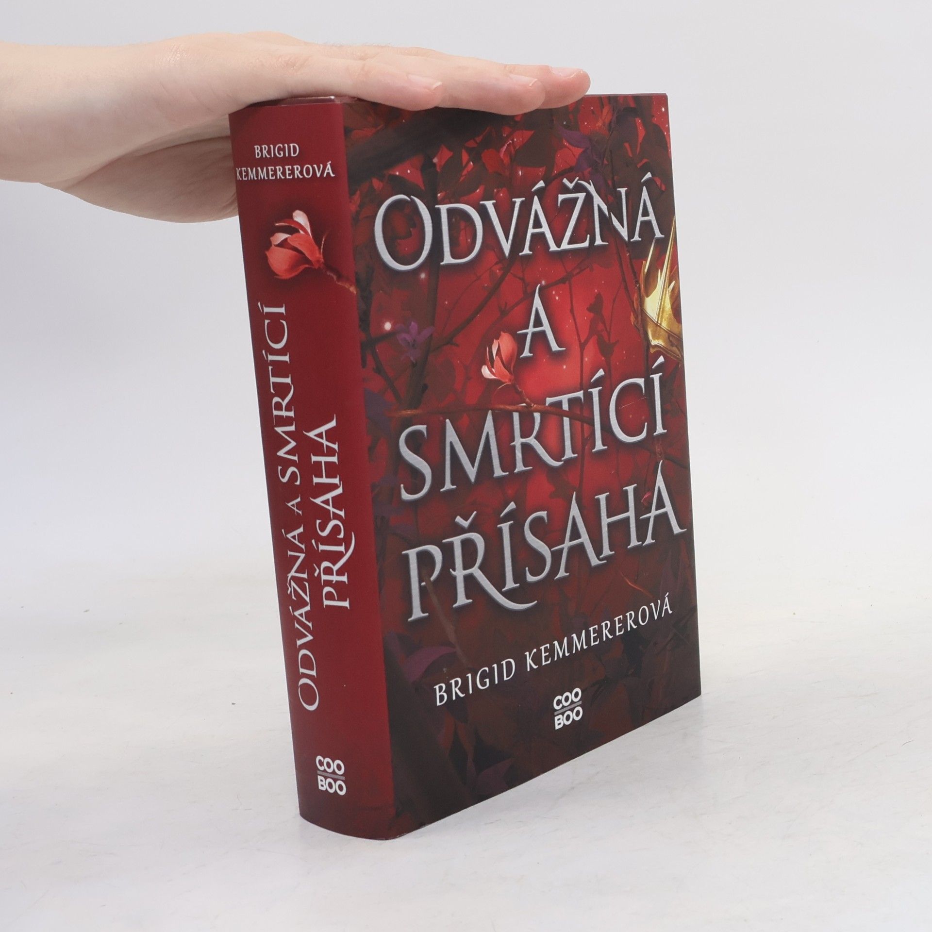 Brigid Kemmerer Odvážná a smrtící přísaha