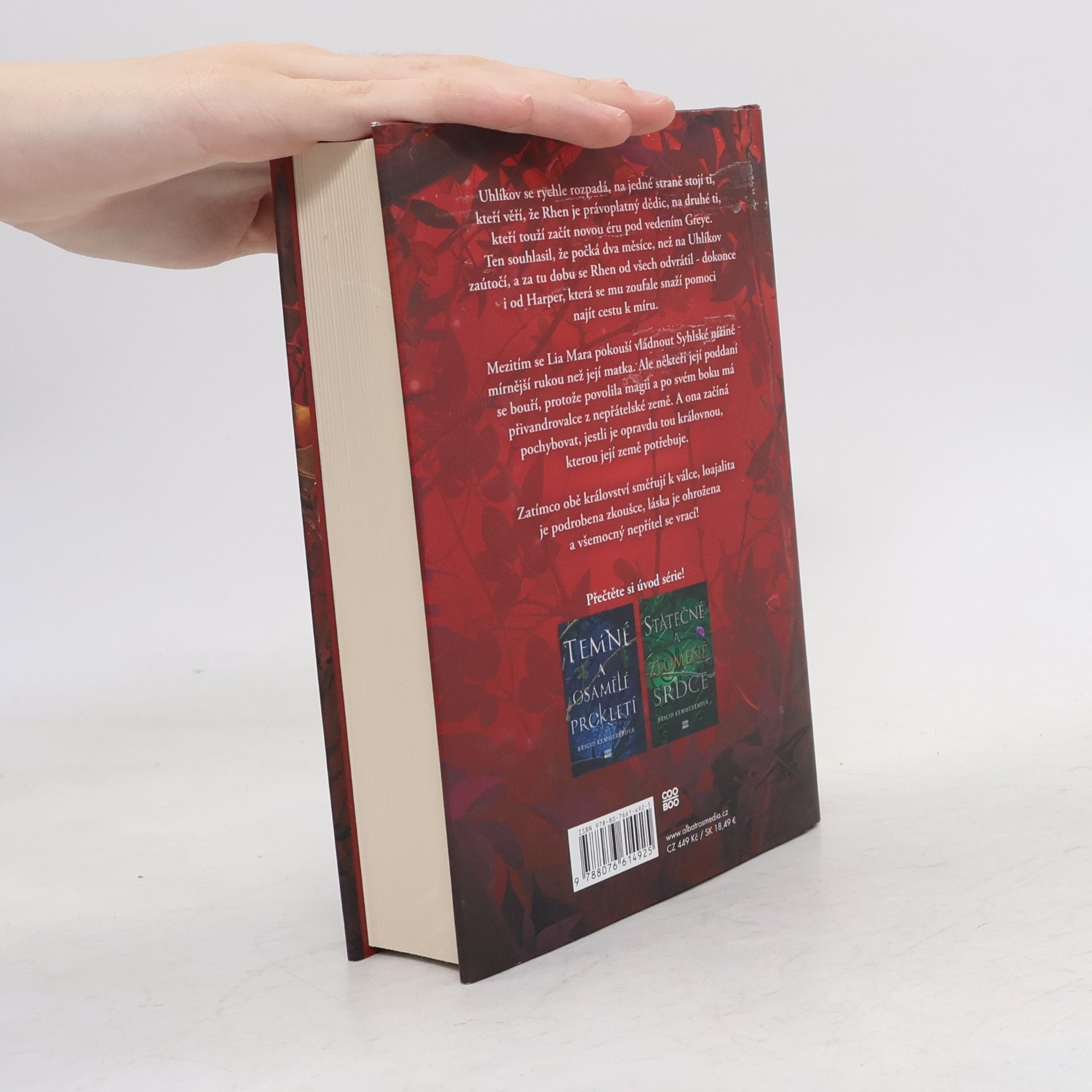 Brigid Kemmerer Odvážná a smrtící přísaha
