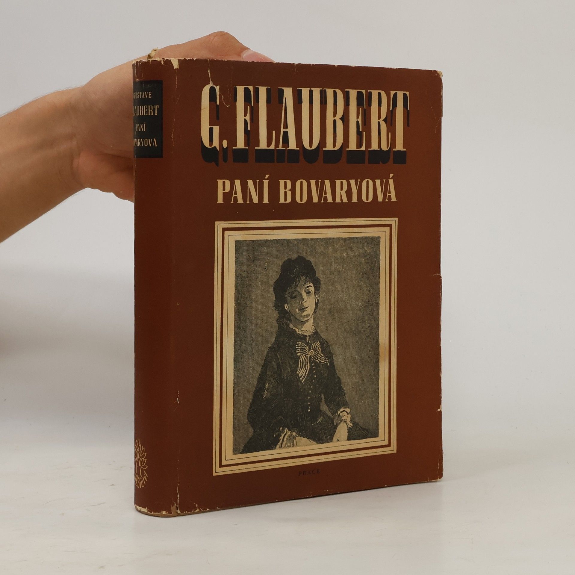Gustave Flaubert Paní Bovaryová