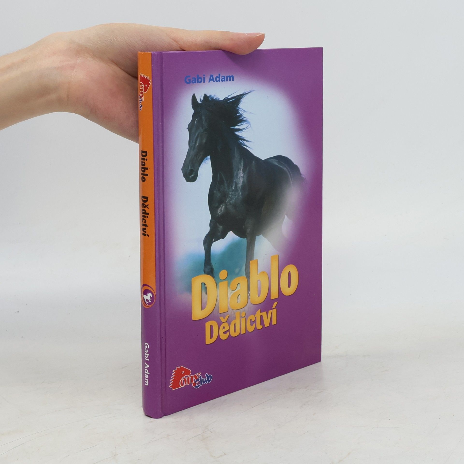 Gabi Adam Diablo. Dědictví