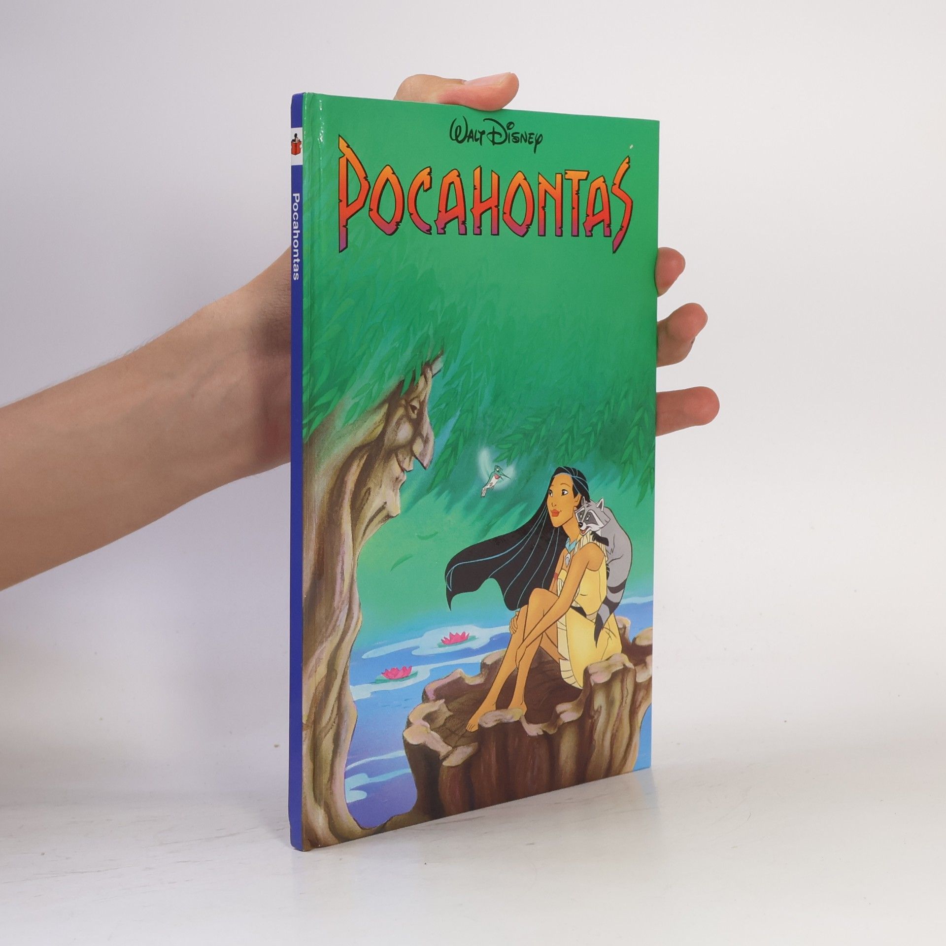 Walt Disney Pocahontas