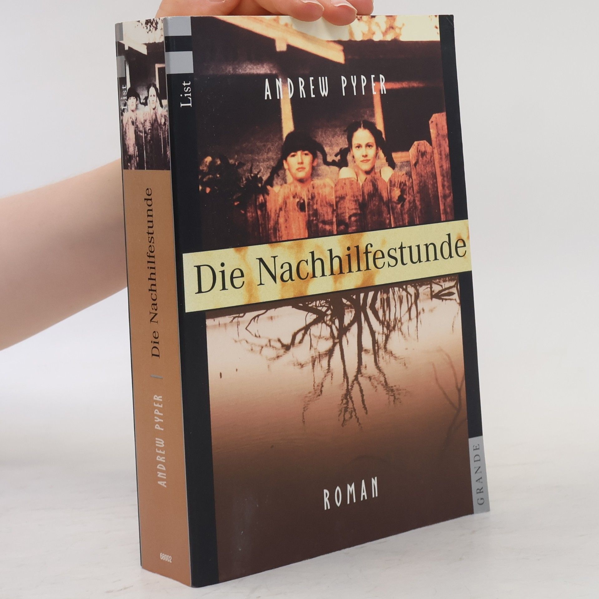 Andrew Pyper Die Nachhilfestunde