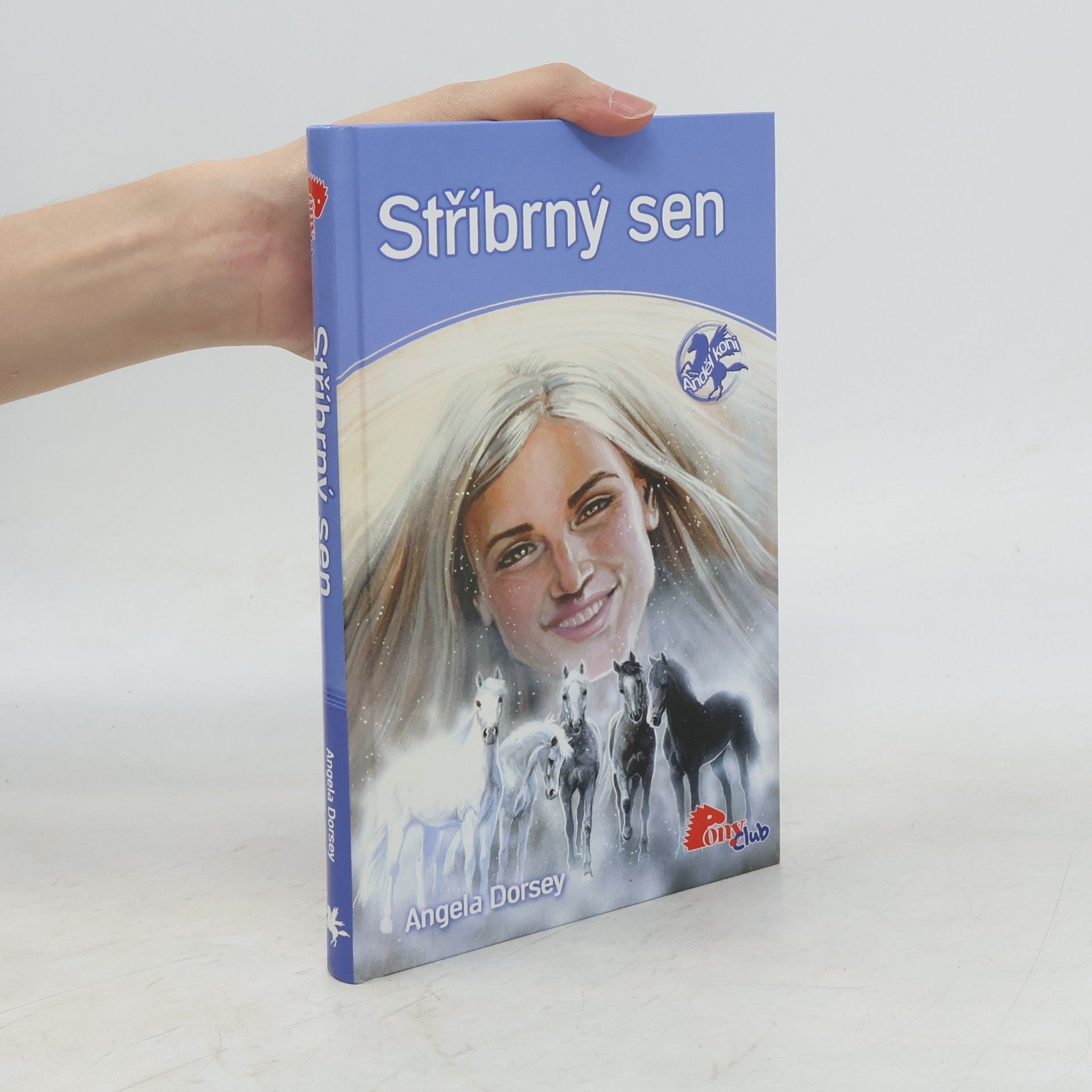 Angela Dorsey Stříbrný sen