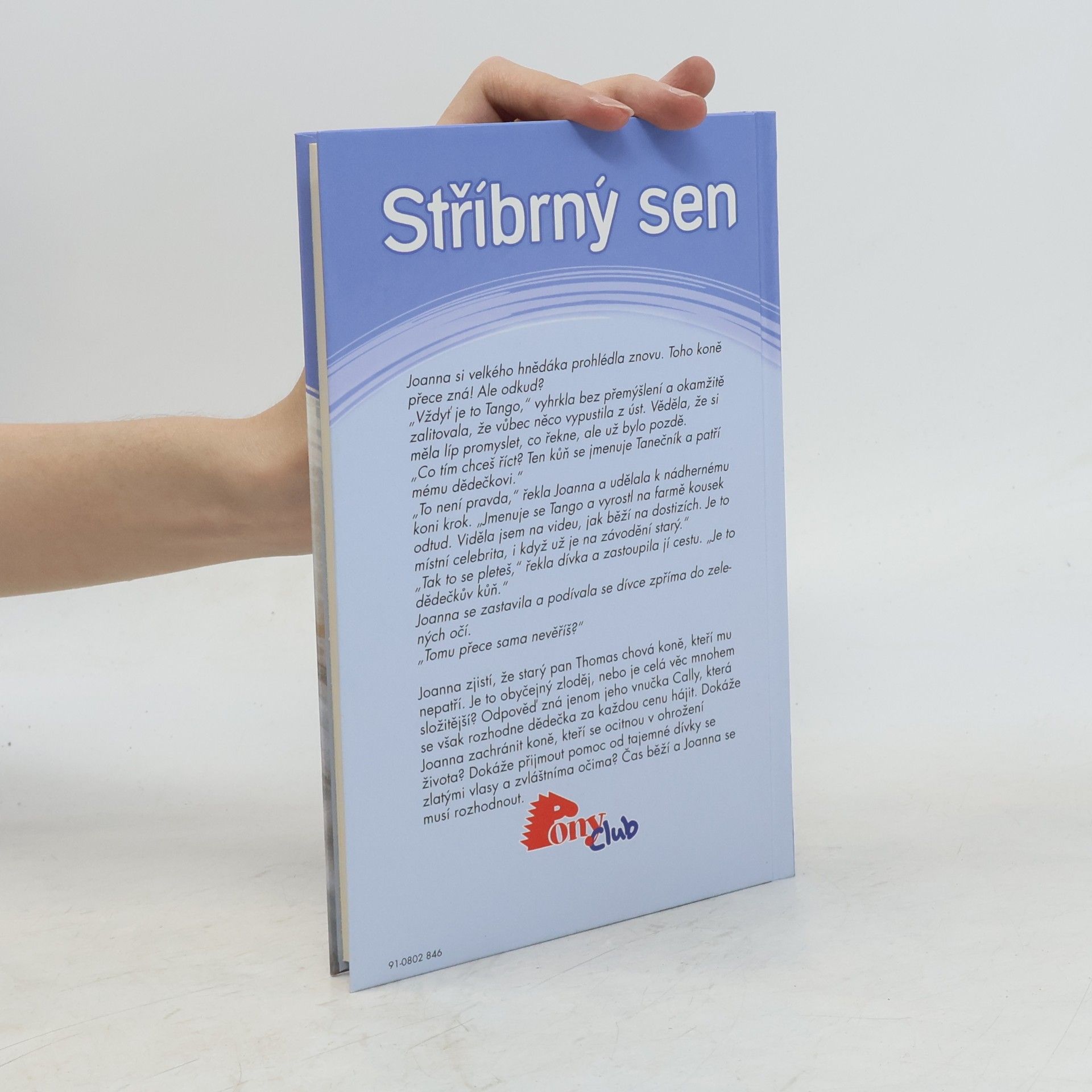 Angela Dorsey Stříbrný sen