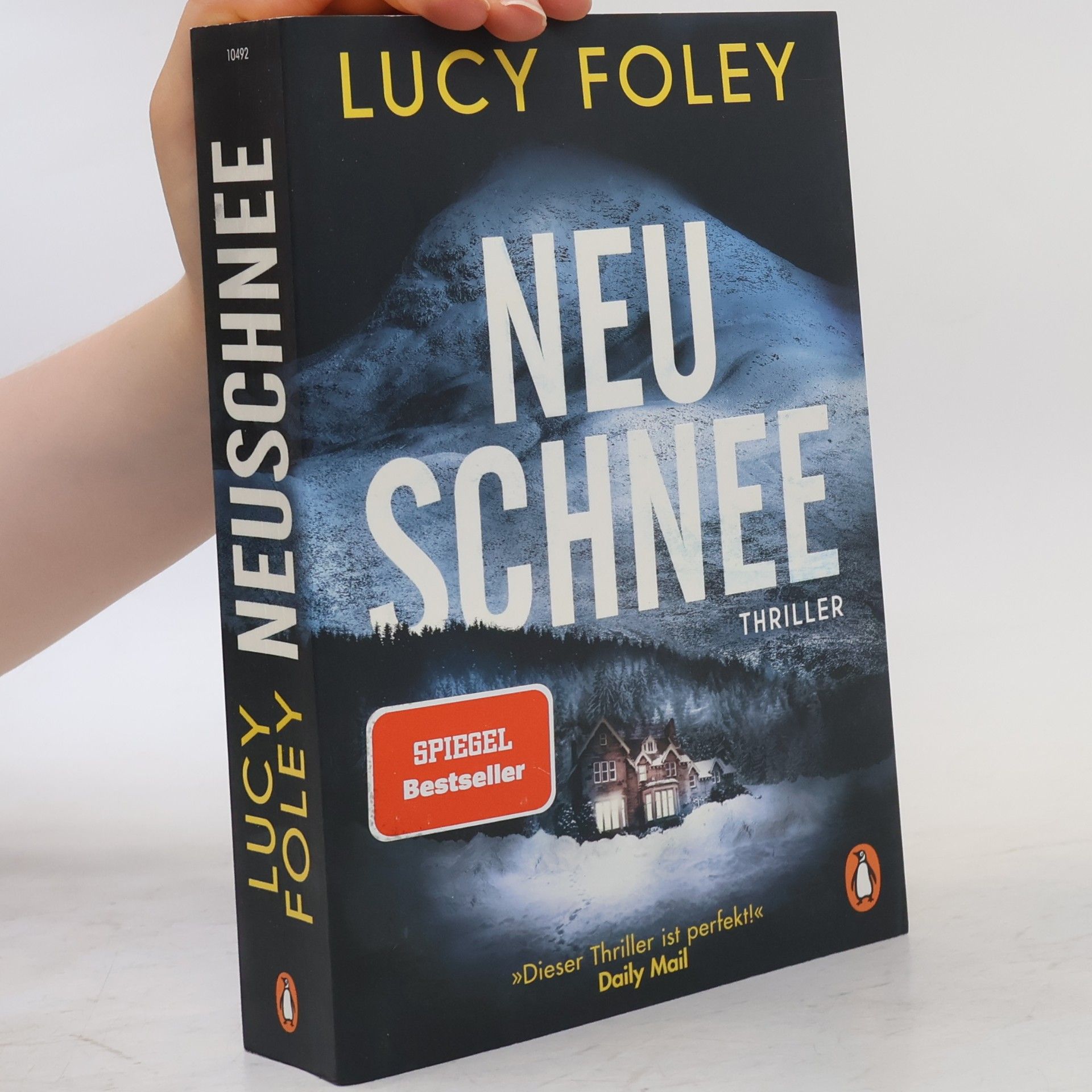 Lucy Foley Neuschnee