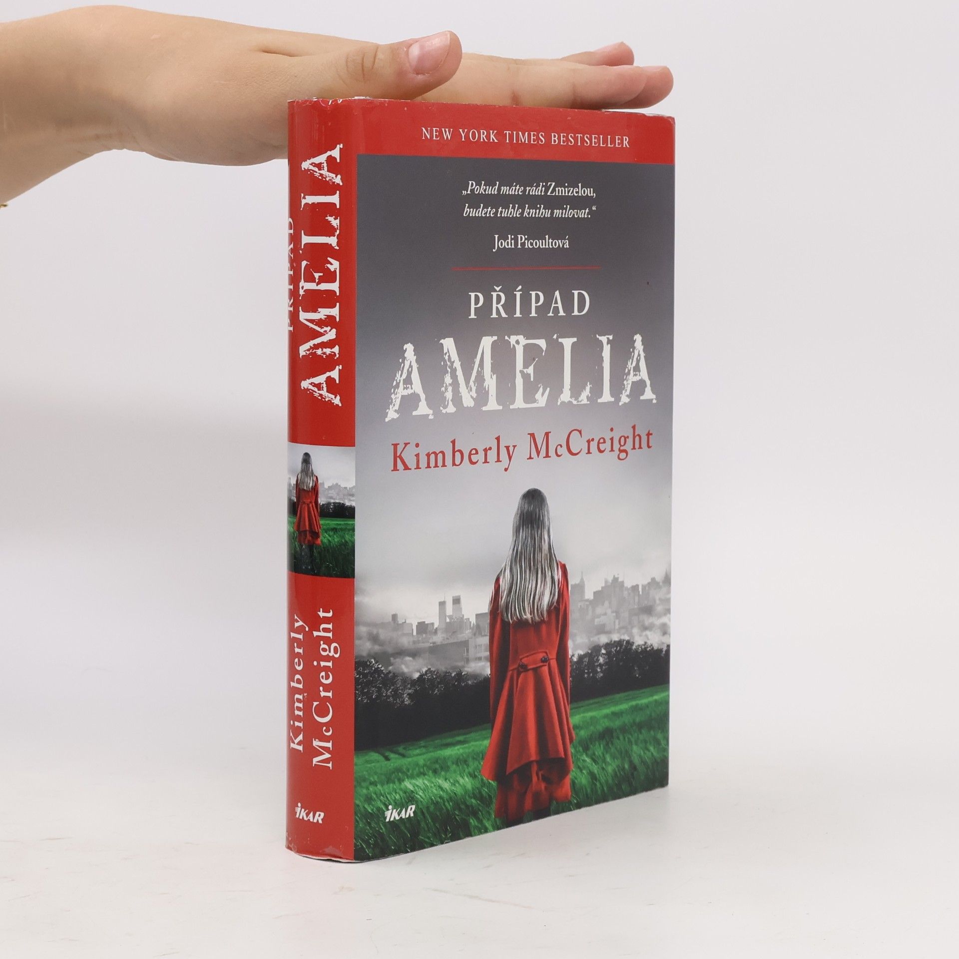Kimberly McCreight Případ Amelia