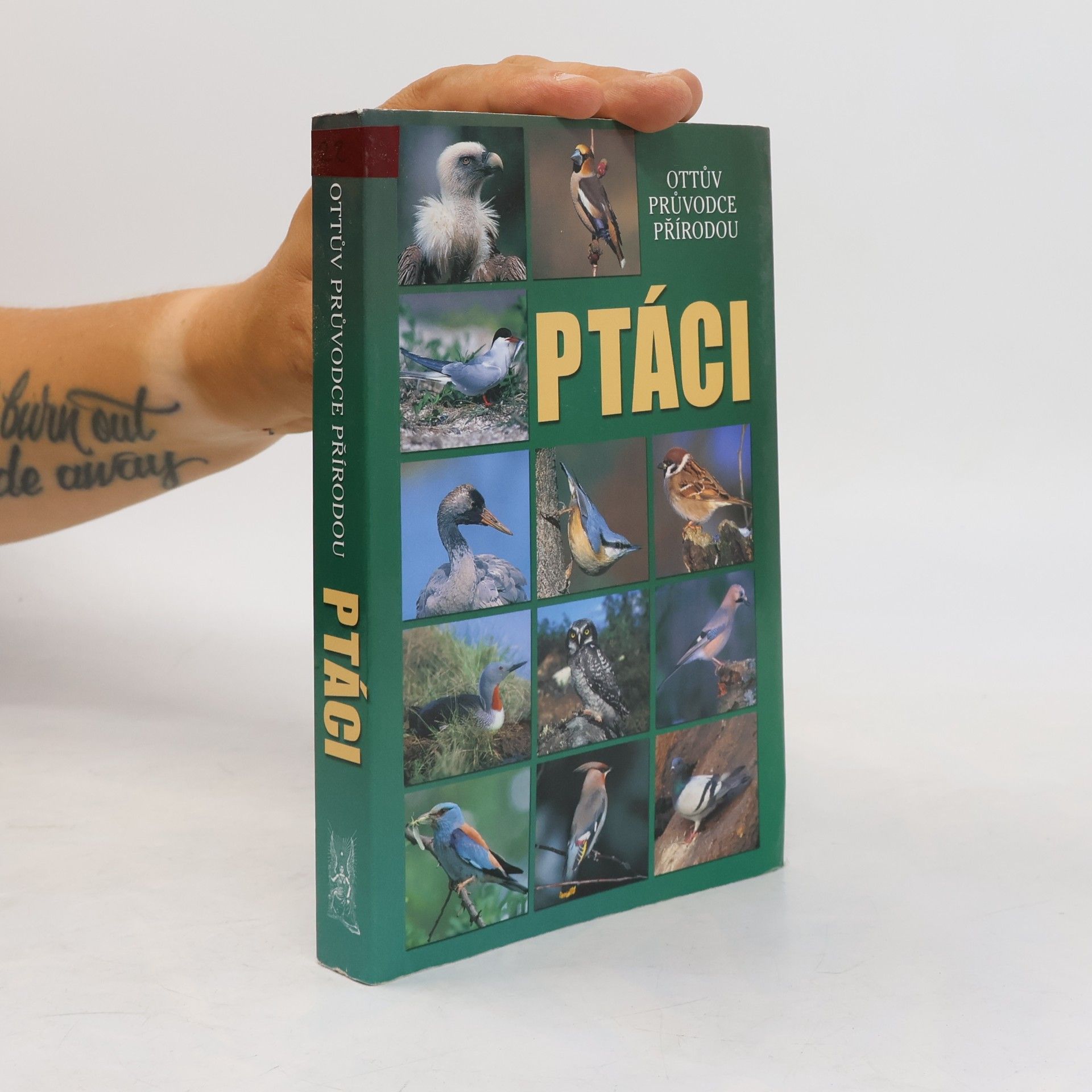 Ptáci - Ottův průvodce přírodou