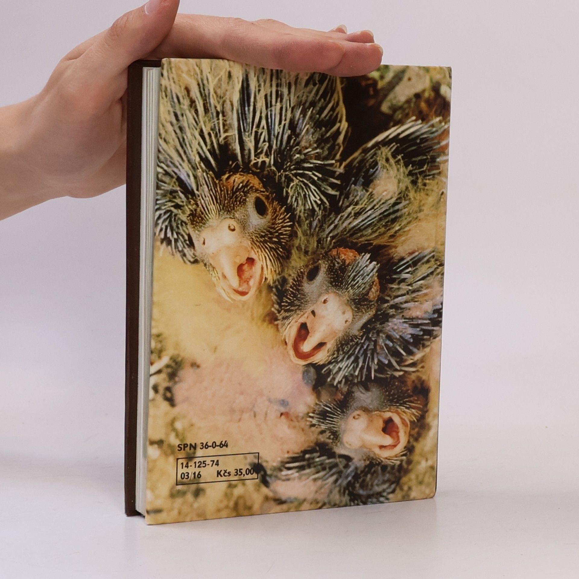 Zdeněk Veger Kapesní atlas cizokrajných ptáků