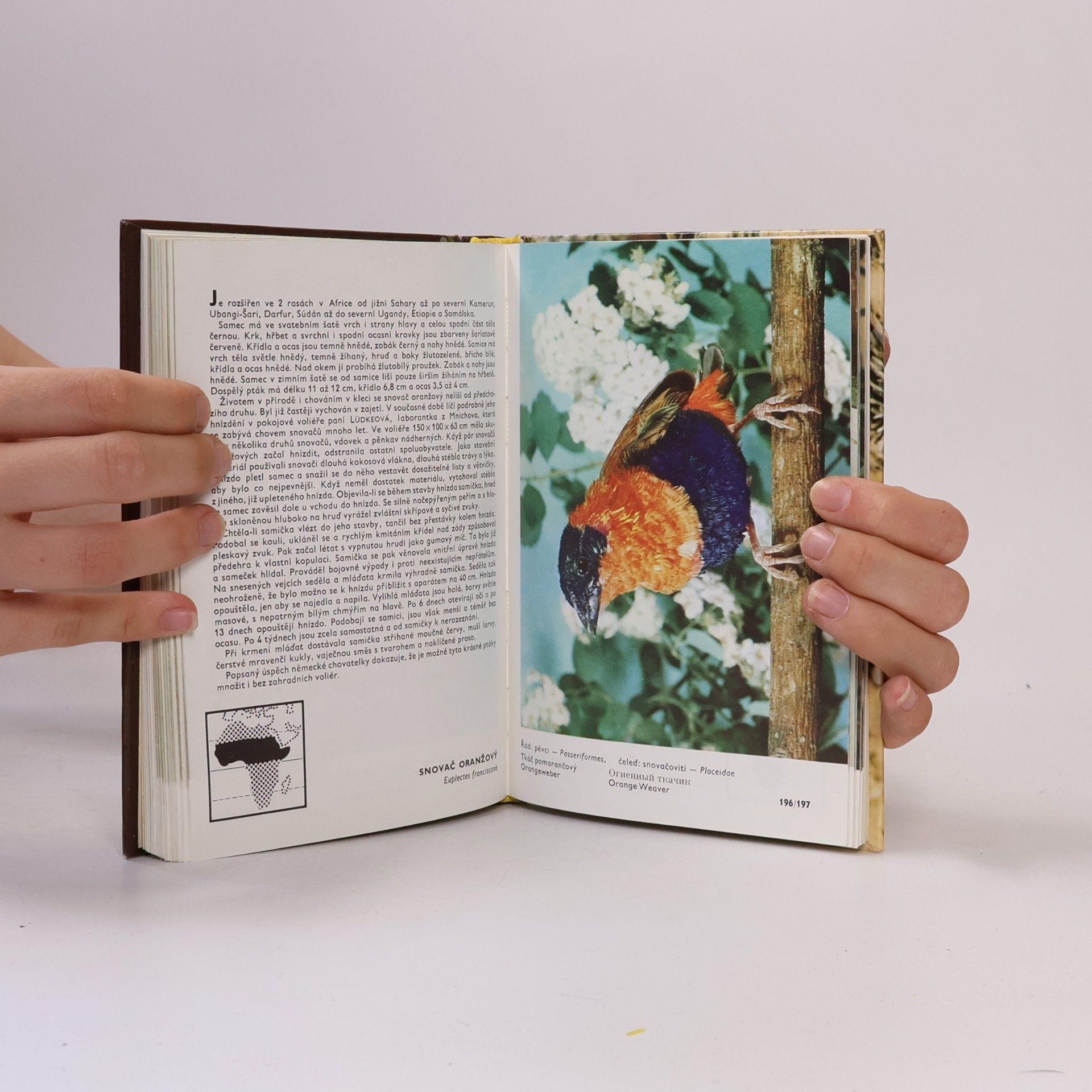 Zdeněk Veger Kapesní atlas cizokrajných ptáků