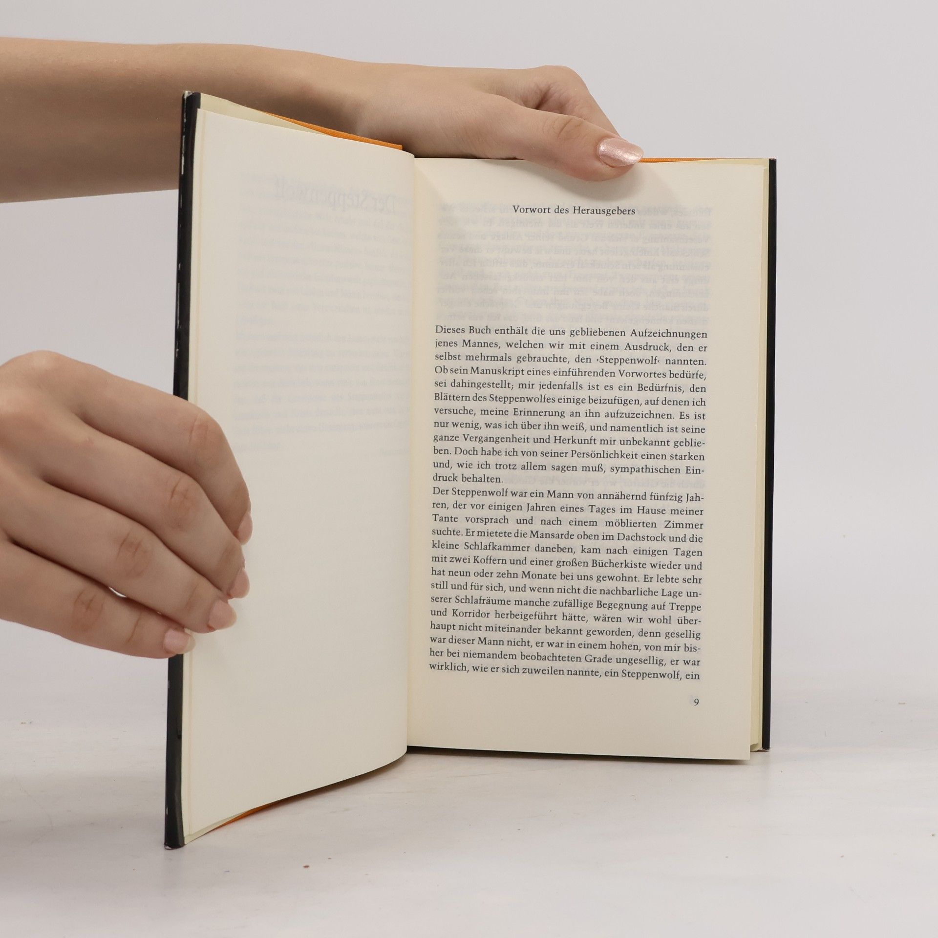 Hermann Hesse Der Steppenwolf