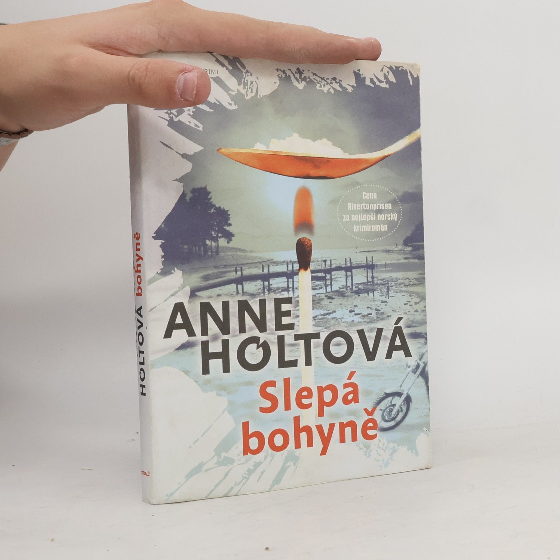 Anne Holt Slepá bohyně
