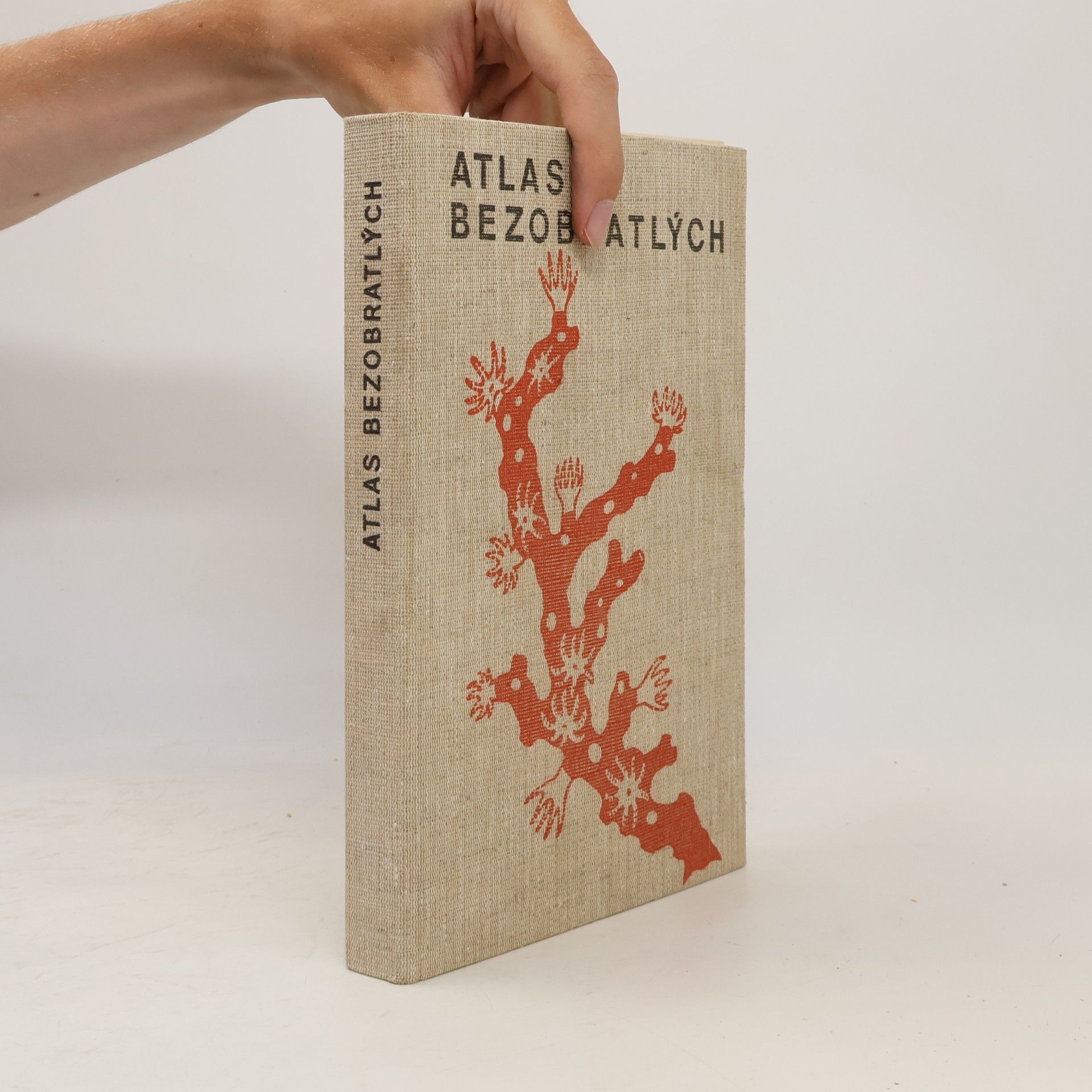Atlas bezobratlých