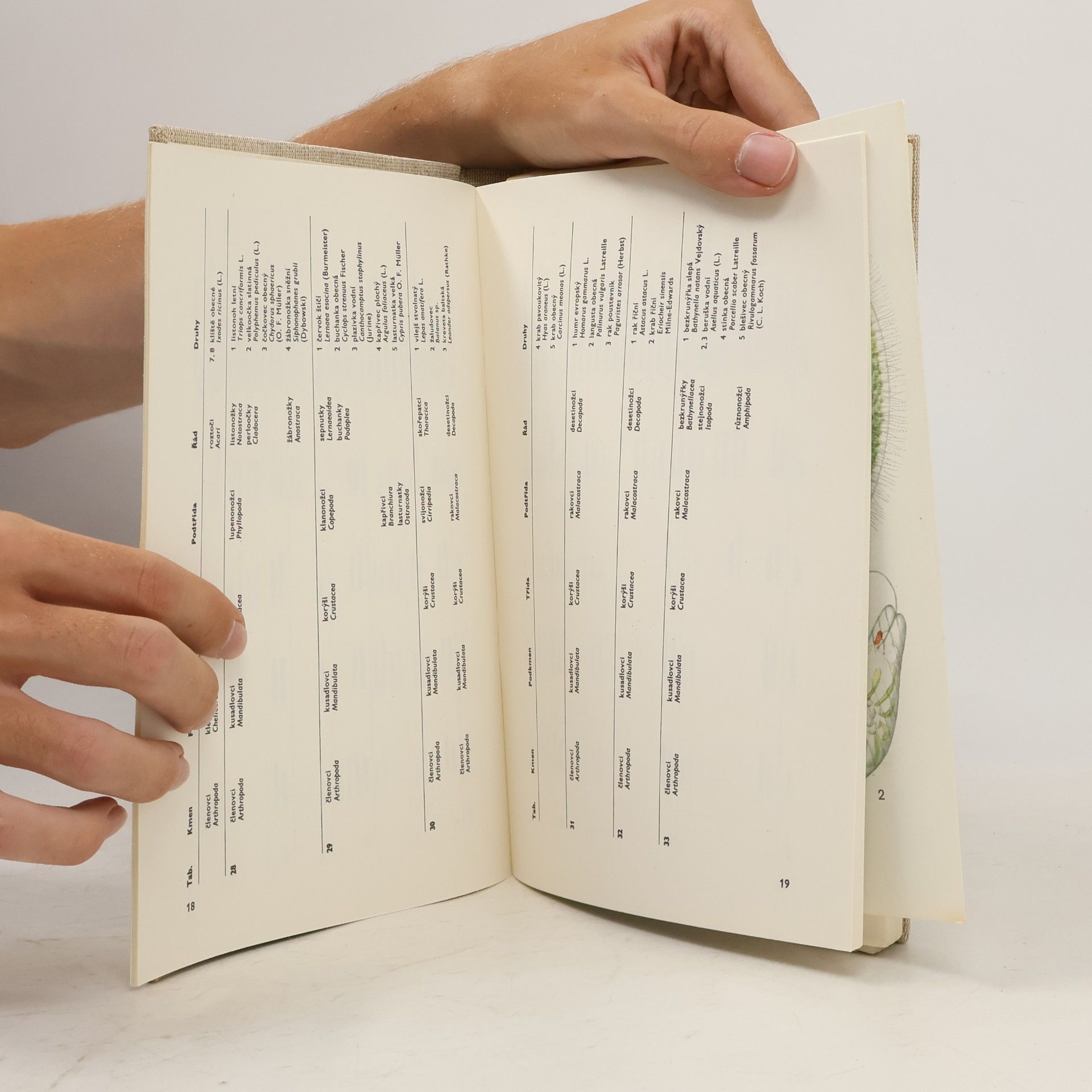 Miroslav Kunst Atlas bezobratlých