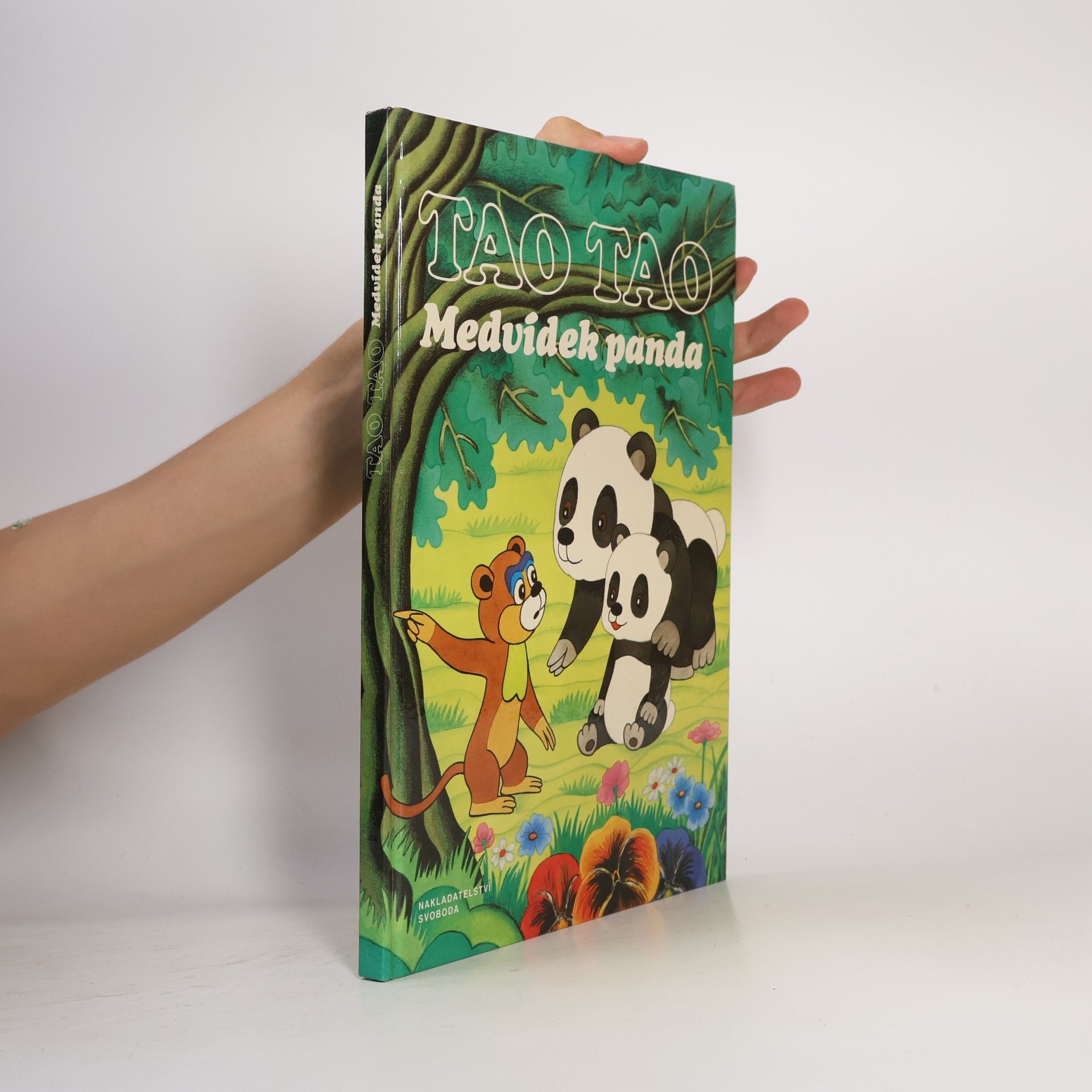Autorenkollektiv Tao Tao. Medvídek panda