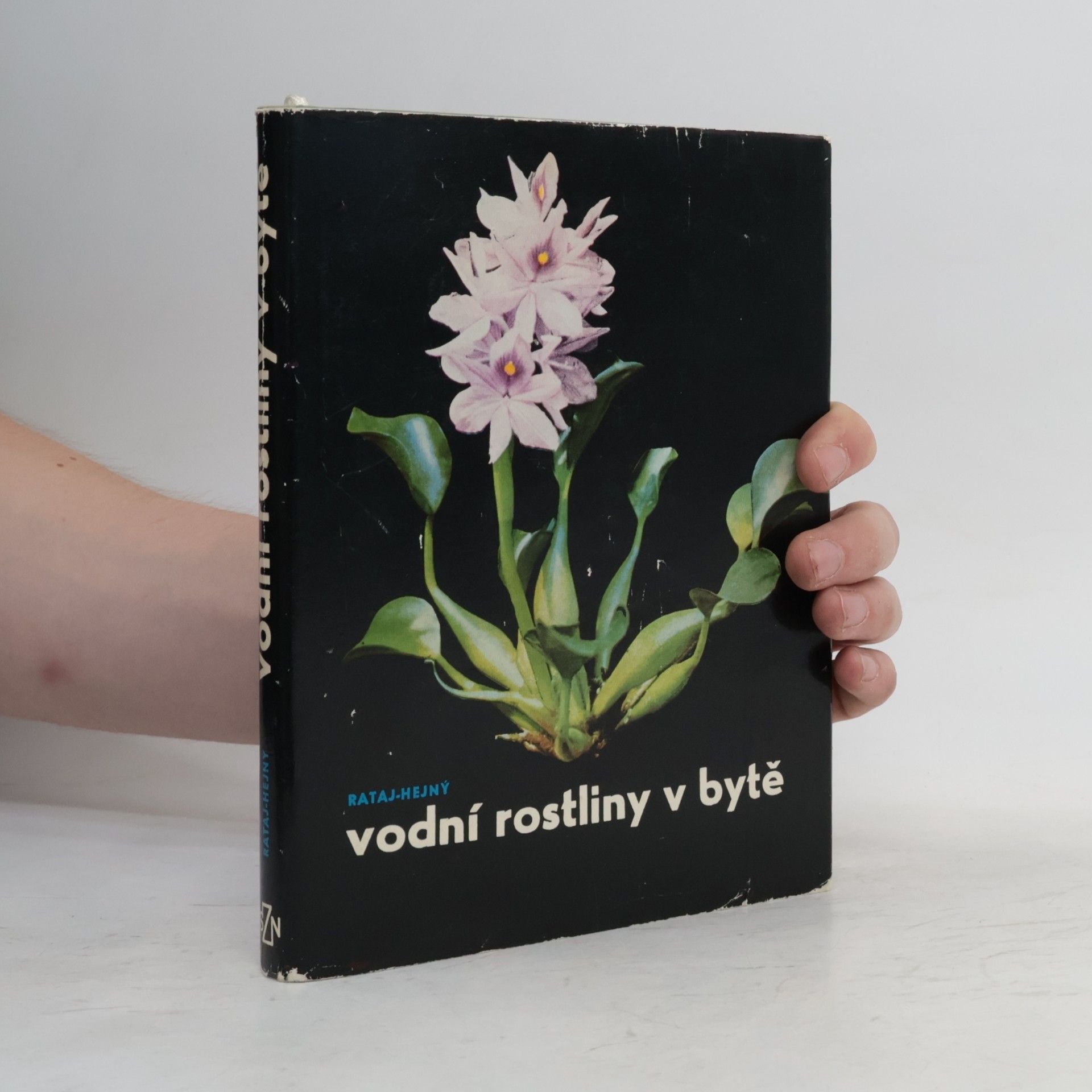 Vodní rostliny v bytě