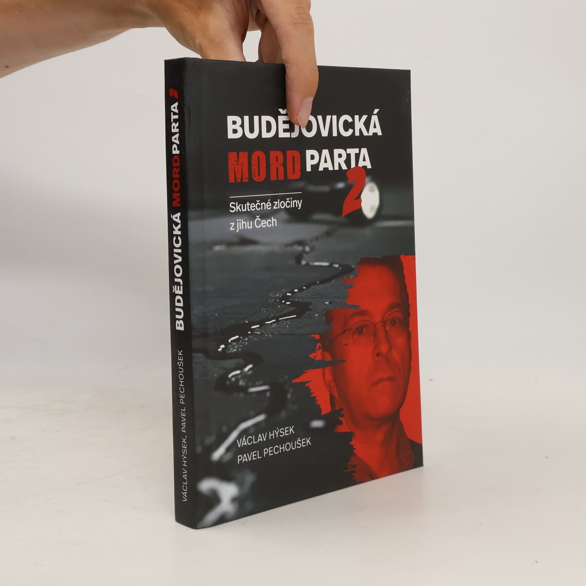 Budějovická mordparta 2 - Skutečné zločiny z jihu Čech