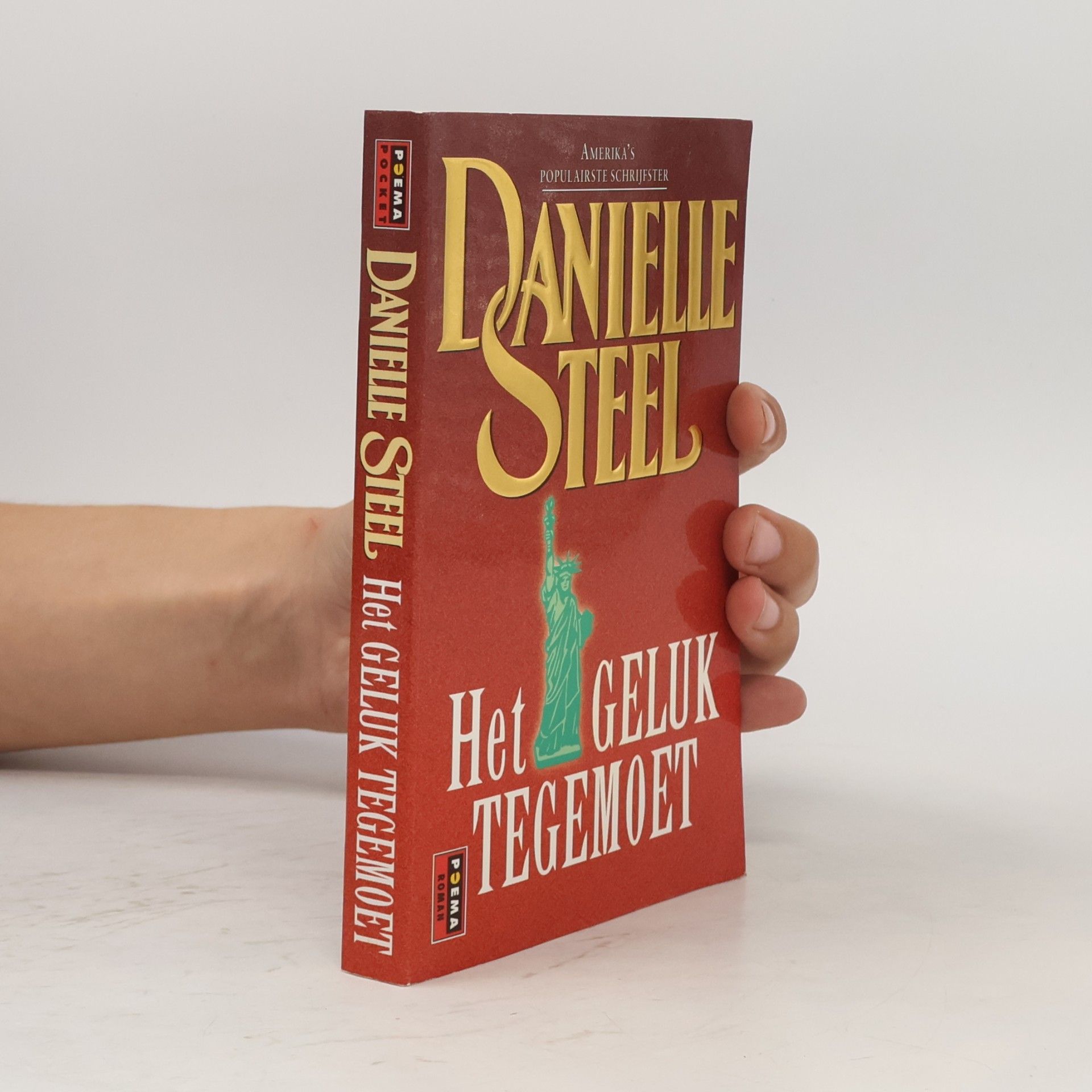 Danielle Steel Het geluk tegemoet