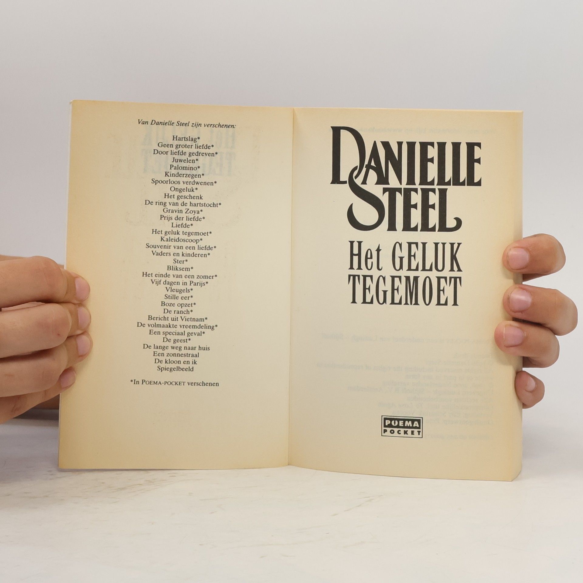 Danielle Steel Het geluk tegemoet