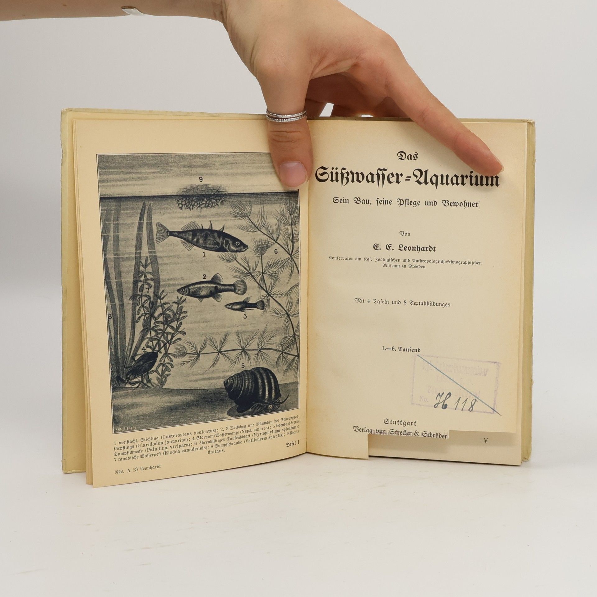 E. E. Leonhardt Das Süßwasser-Aquarium