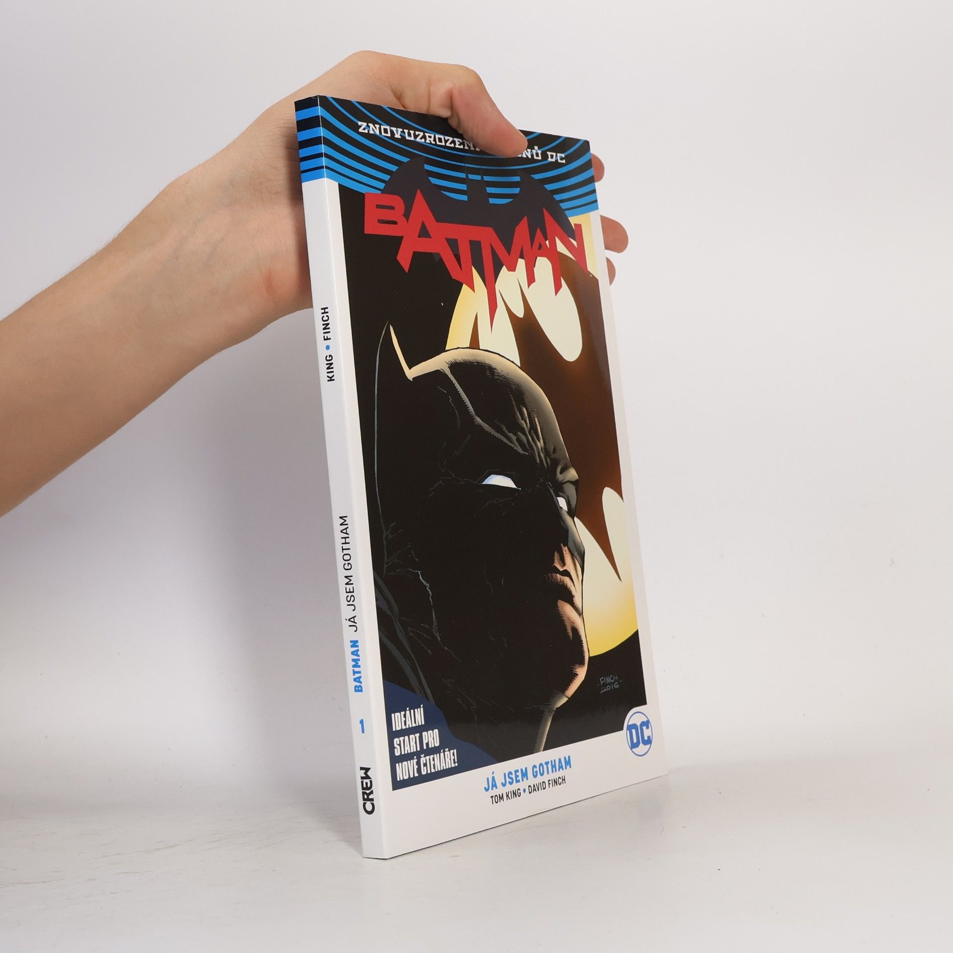Tom King Batman. 1. díl, Já jsem Gotham