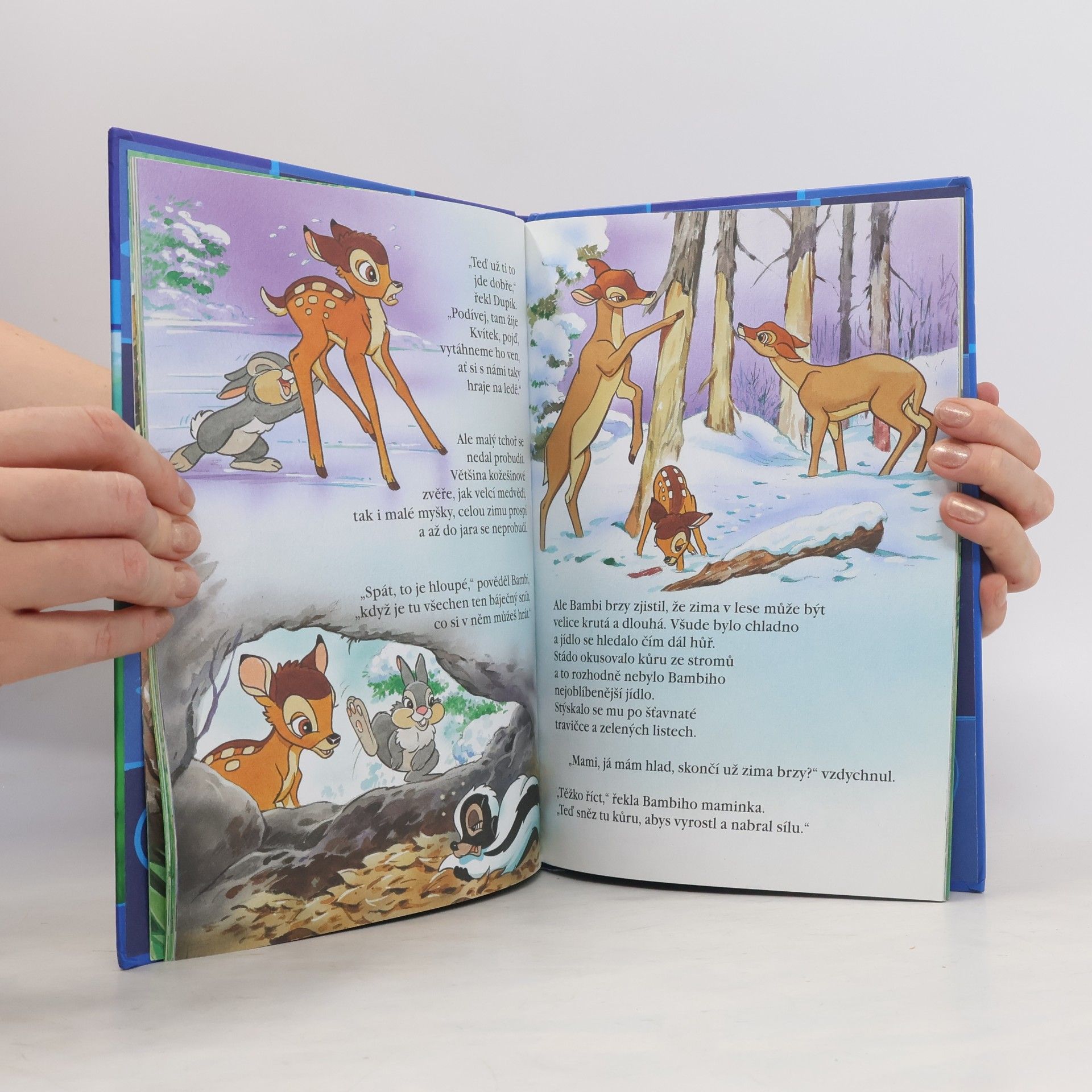 Kolektiv autorů Kouzelné pohádky 6. Bambi