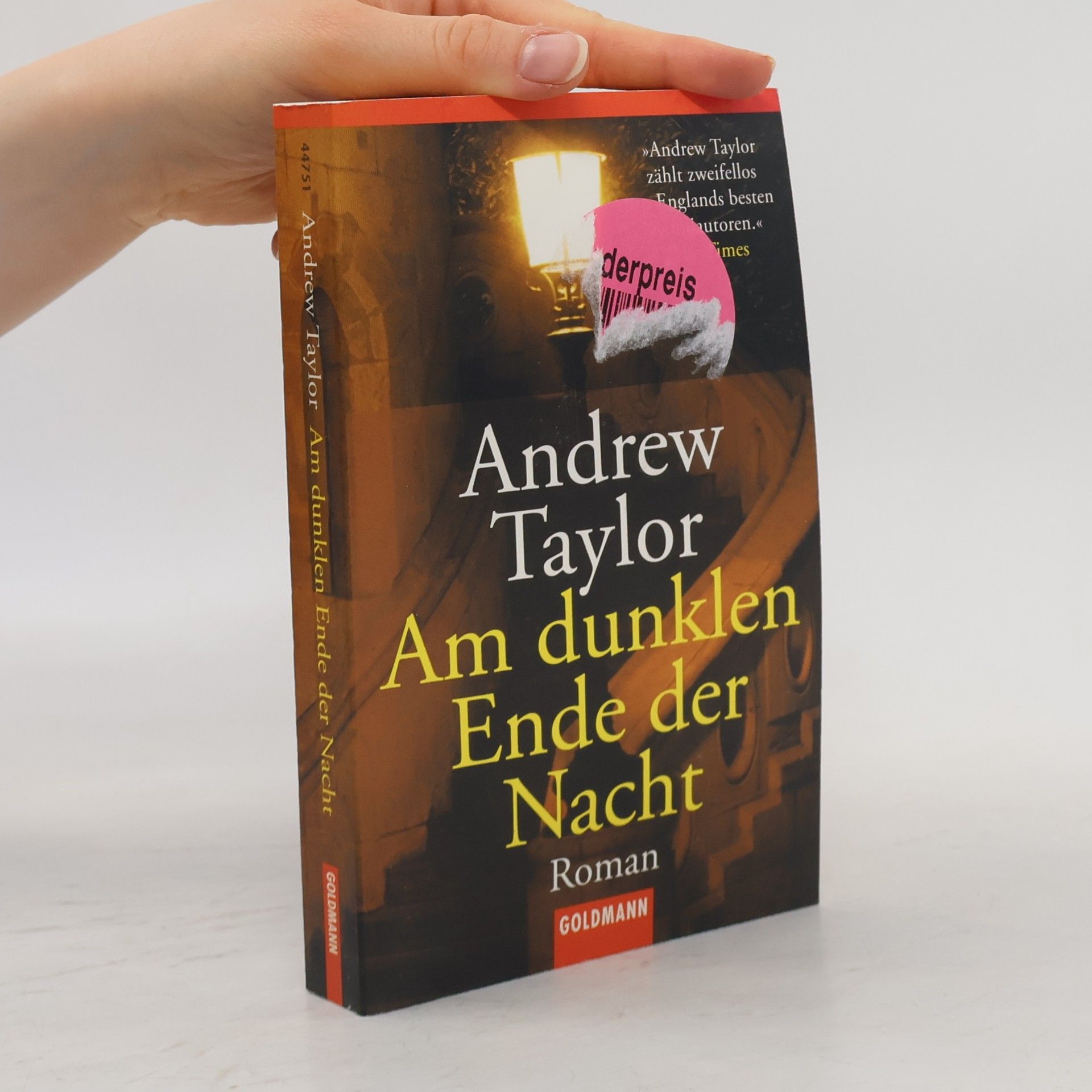 John Robert Taylor Am dunklen Ende der Nacht