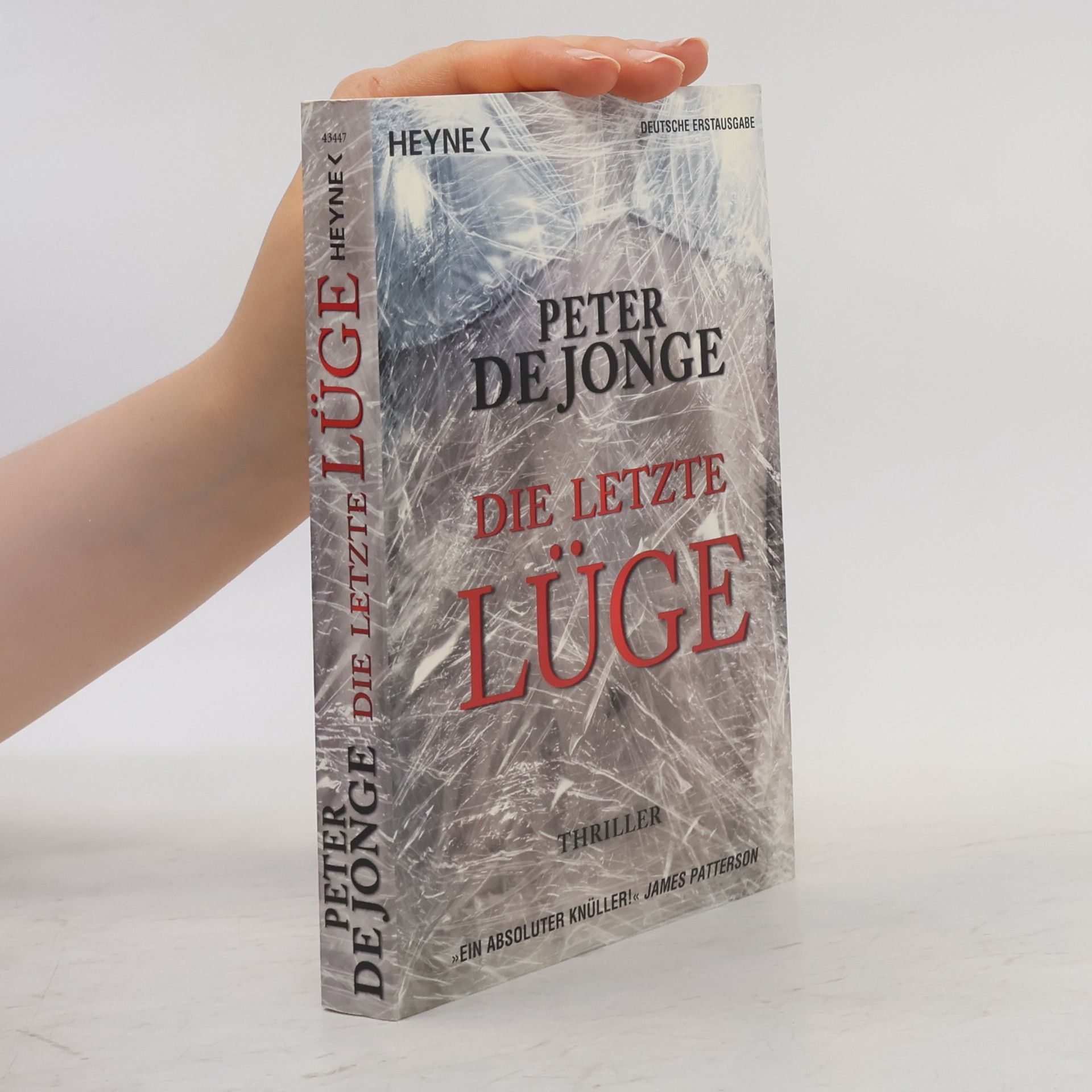 Peter de Jonge Die letzte Lüge. Thriller