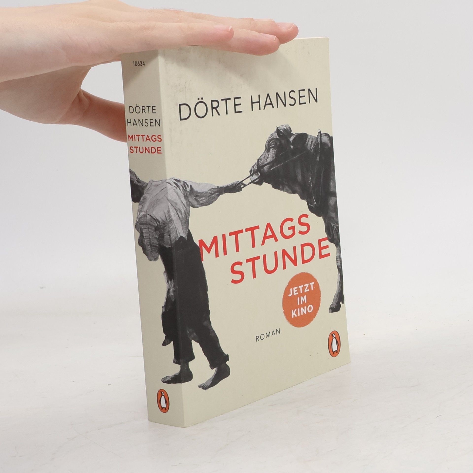 Dörte Hansen Mittagsstunde